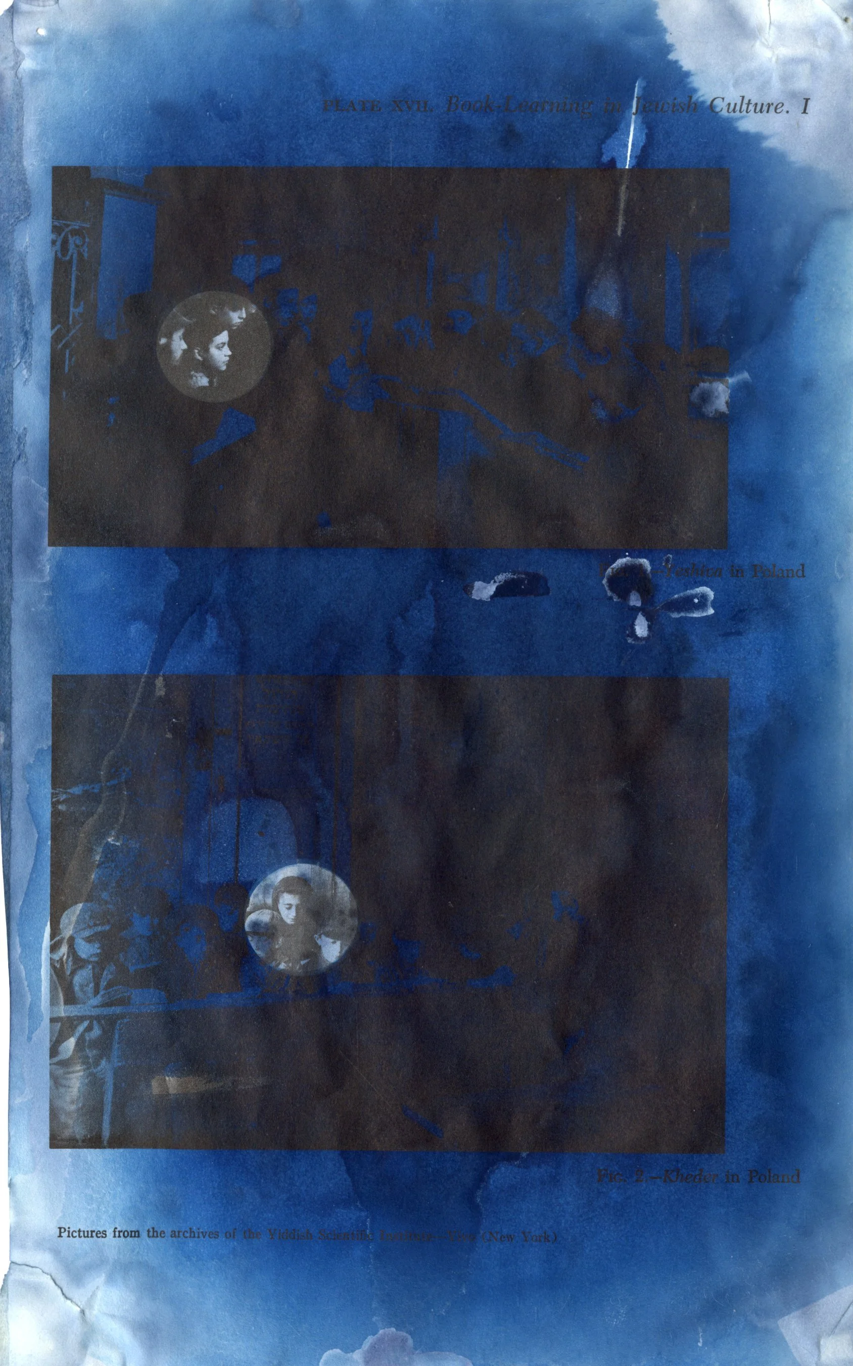 School Boys, Cyanotype on Book page, Red Jordanger 2026