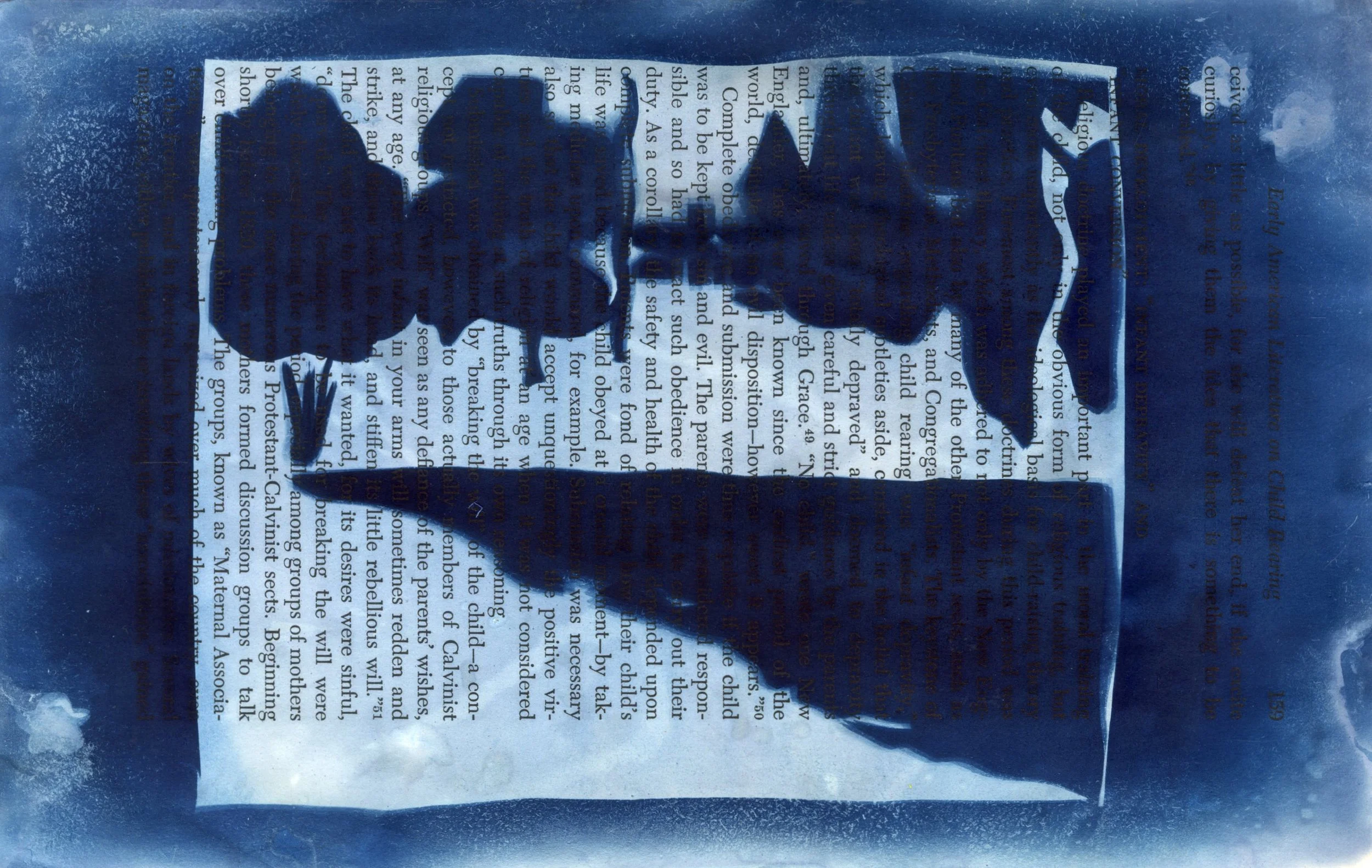 Found Lake, Cyanotype on Book page, Red Jordanger 2026