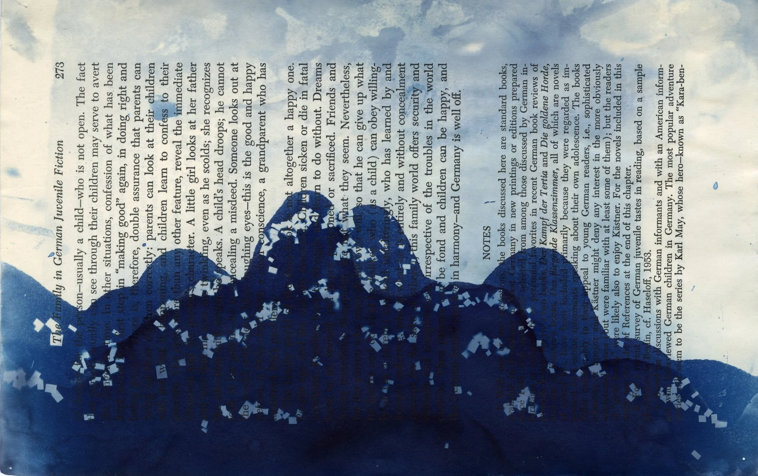Sea Flow, Cyanotype on Book page, Red Jordanger 2026