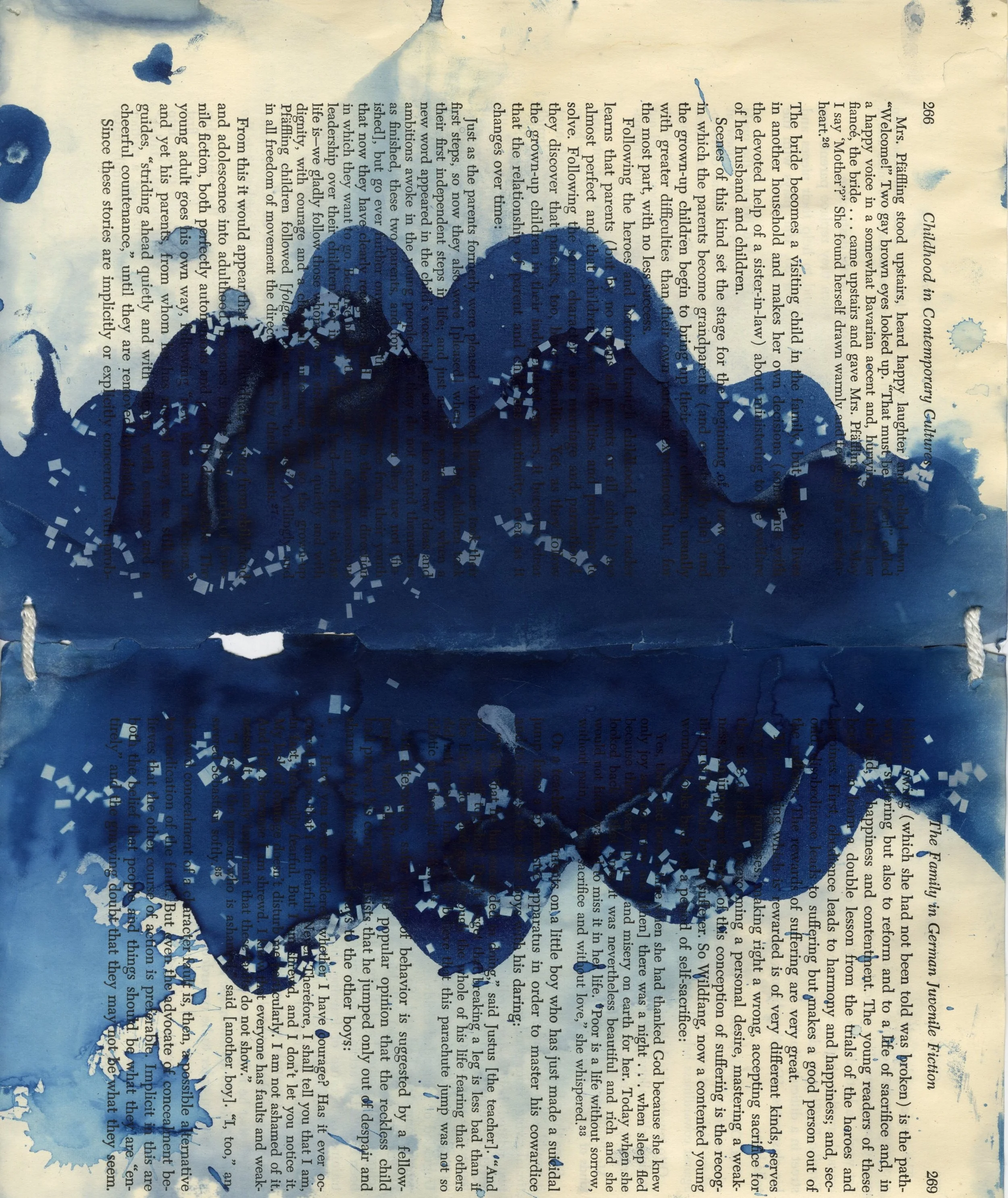 Sea Reflection, Cyanotype on Book page, Red Jordanger 2026