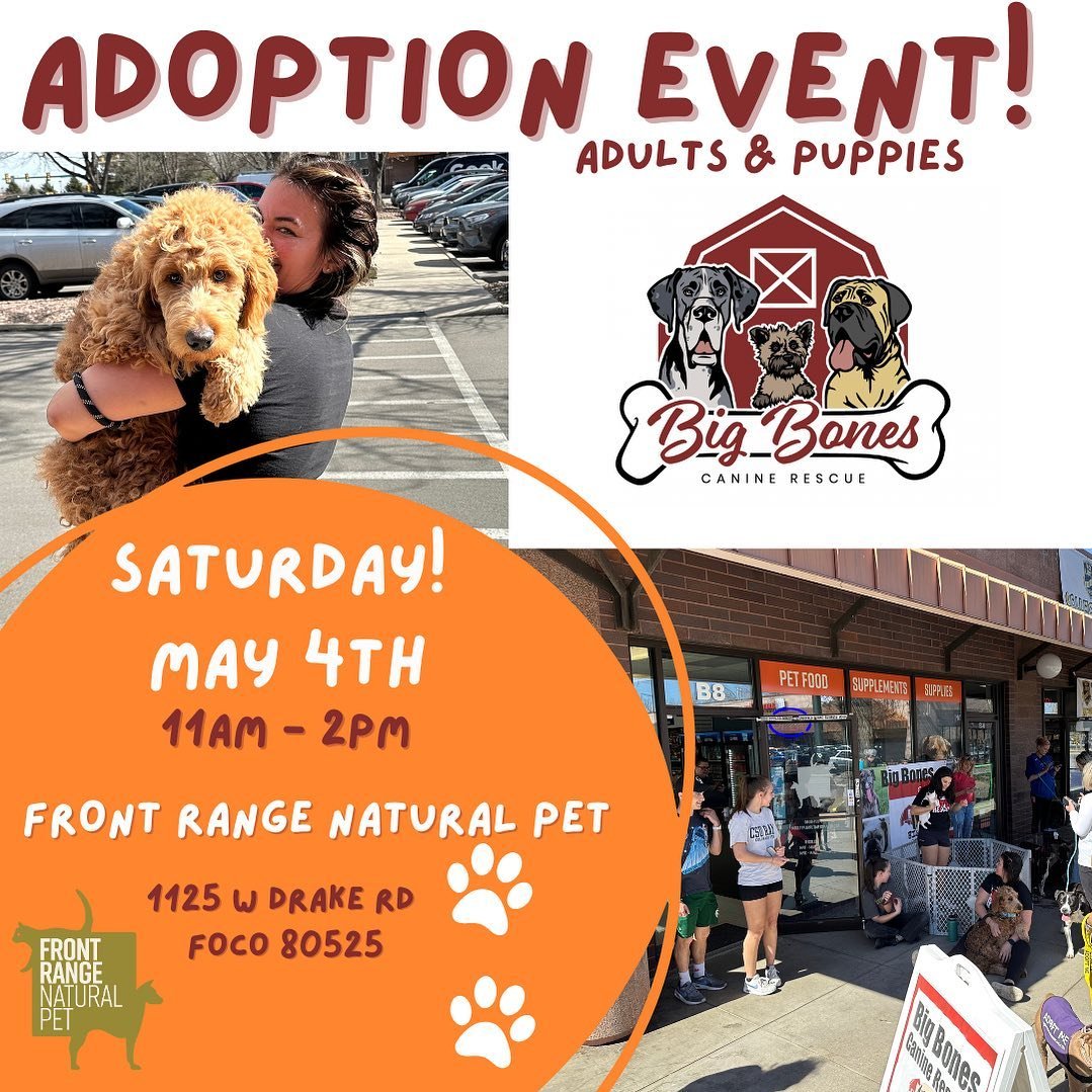 DOG ADOPTIONS this Saturday from 11-2 with @bigbonescaninerescue 
.
Come by and meet some loving pups looking for their new forever home. 
#adoption #dogadoption #puppyadoption #animalrescue #foco #fortcollins #naturalpet