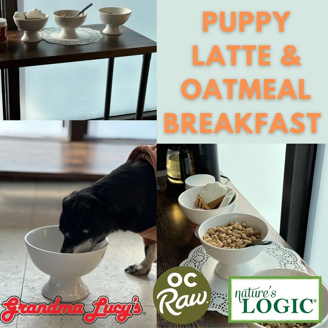 Happy Dog Mom&rsquo;s Day!
.
FREE pup lattes and Oatmeal breakfast today 10 - 1. 
Yummy 😋 
#naturalpet #foco #focosmallbusiness