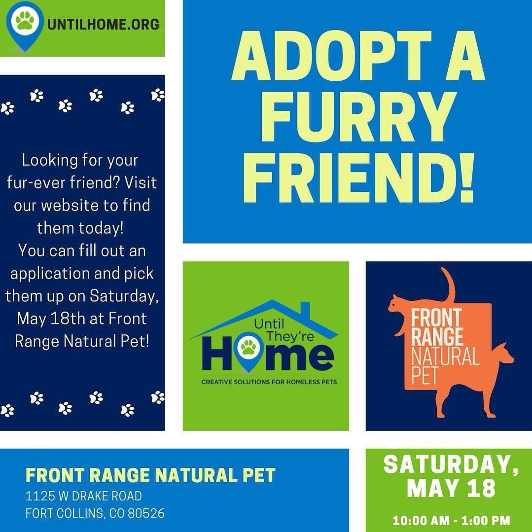 TOMORROW!!!!! 
Dog adoption event tomorrow from 10-1 with @untiltheyrehome 
Come by and meet some pups in need of their forever home. 
#dogadoption #dogrescue #focosmallbusiness