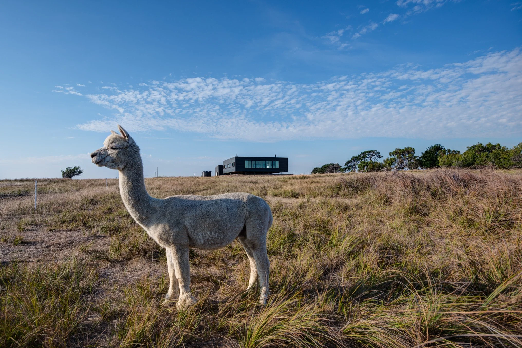 Caravanserai, Pre-fabricated off-grid, Lai Cheong Brown architecture French Island