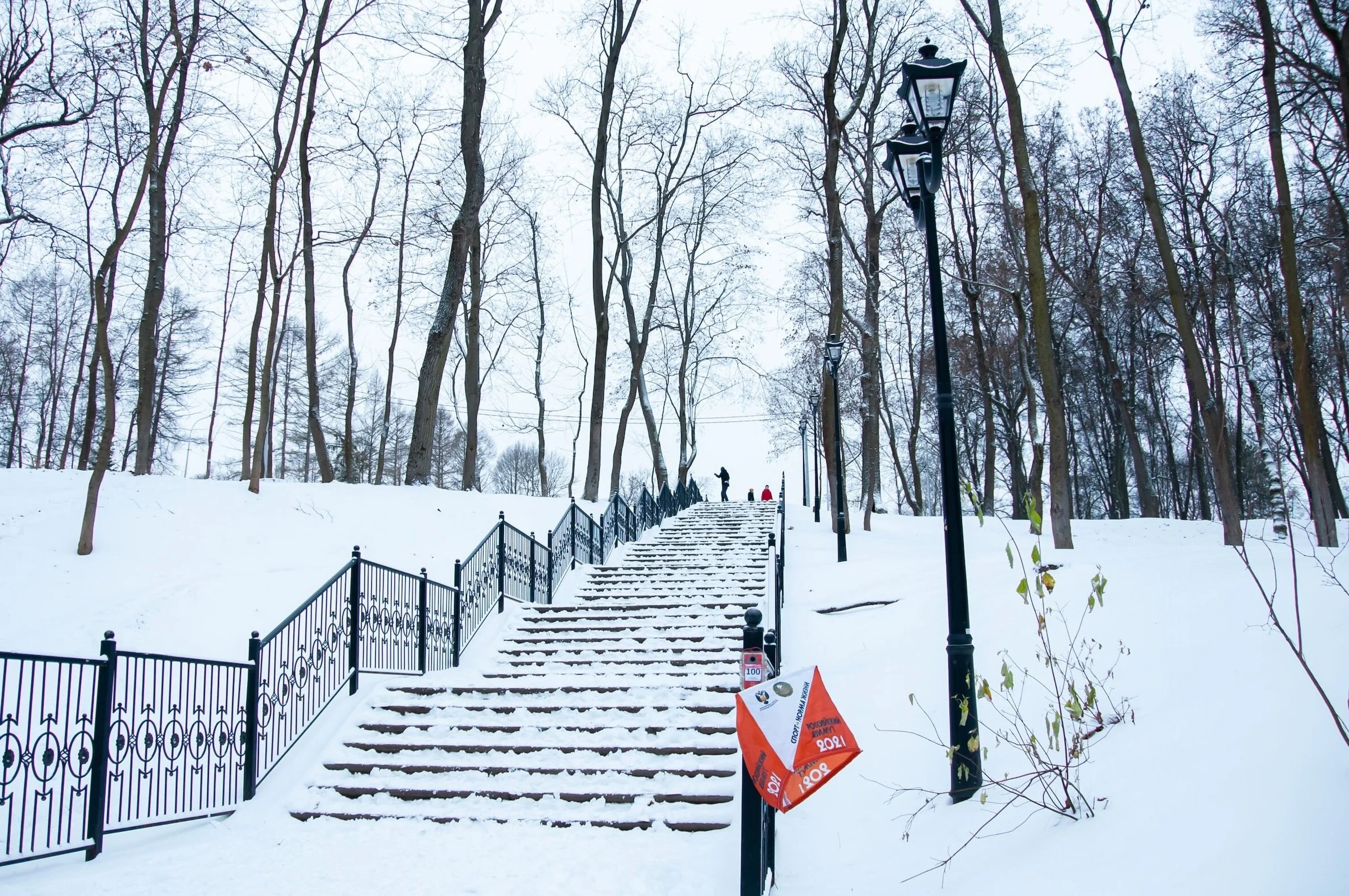 udbud af vinterbekæmpelse