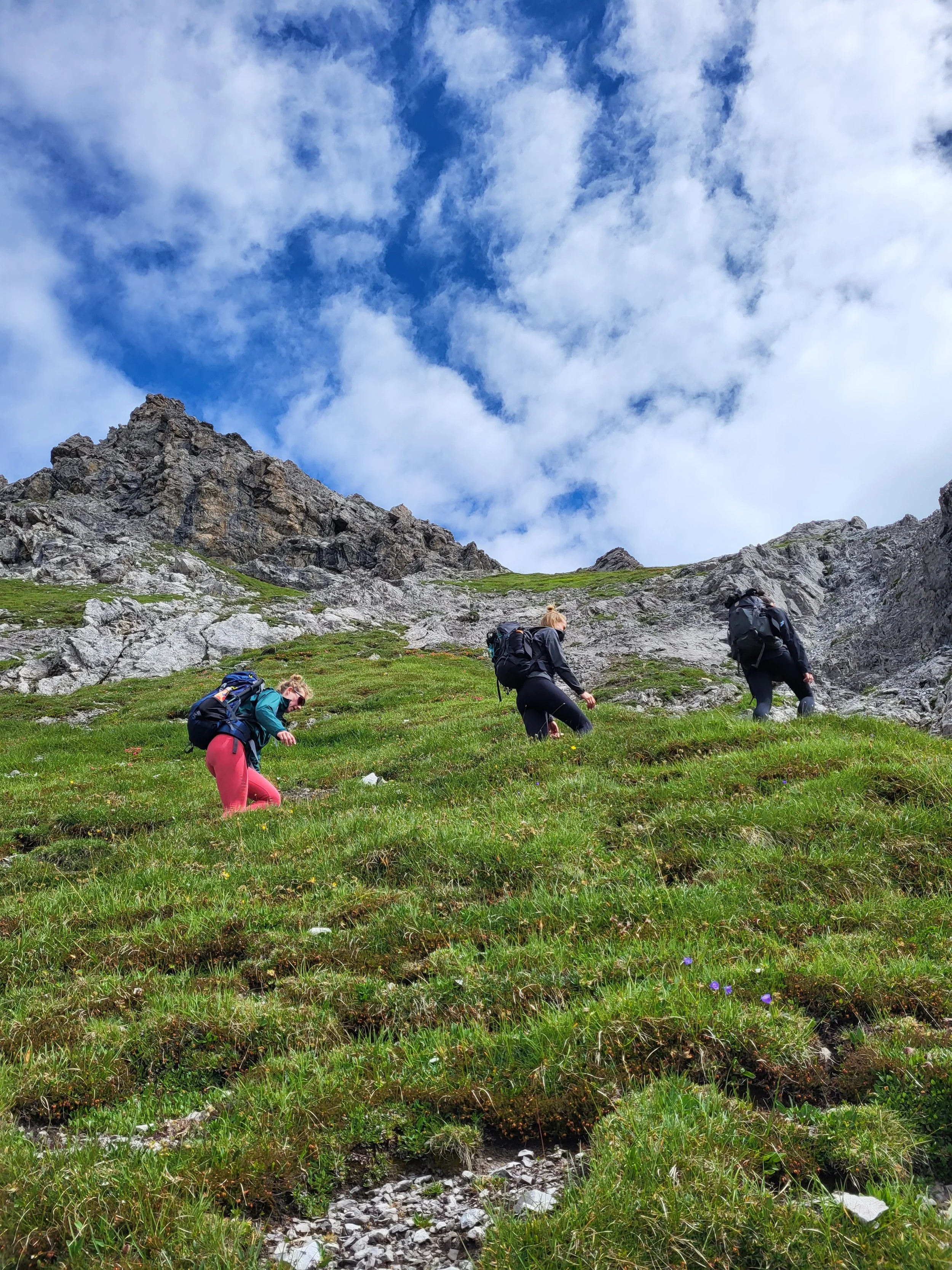 20230727_112422 - not tinified.jpg