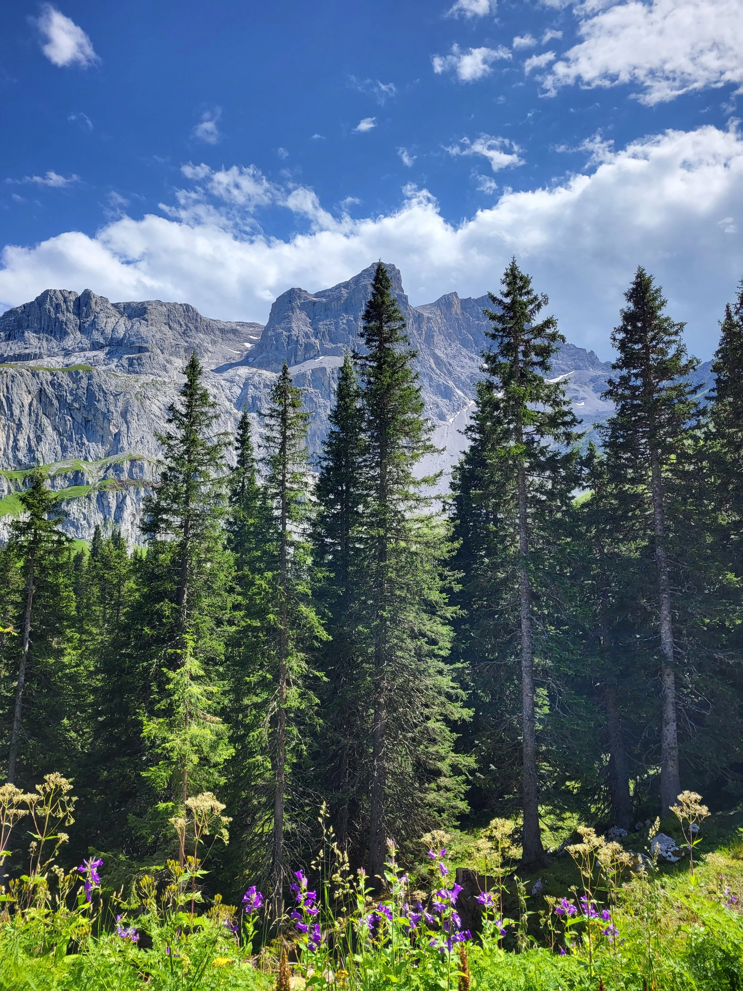 20230724_153821 - not tinified.jpg