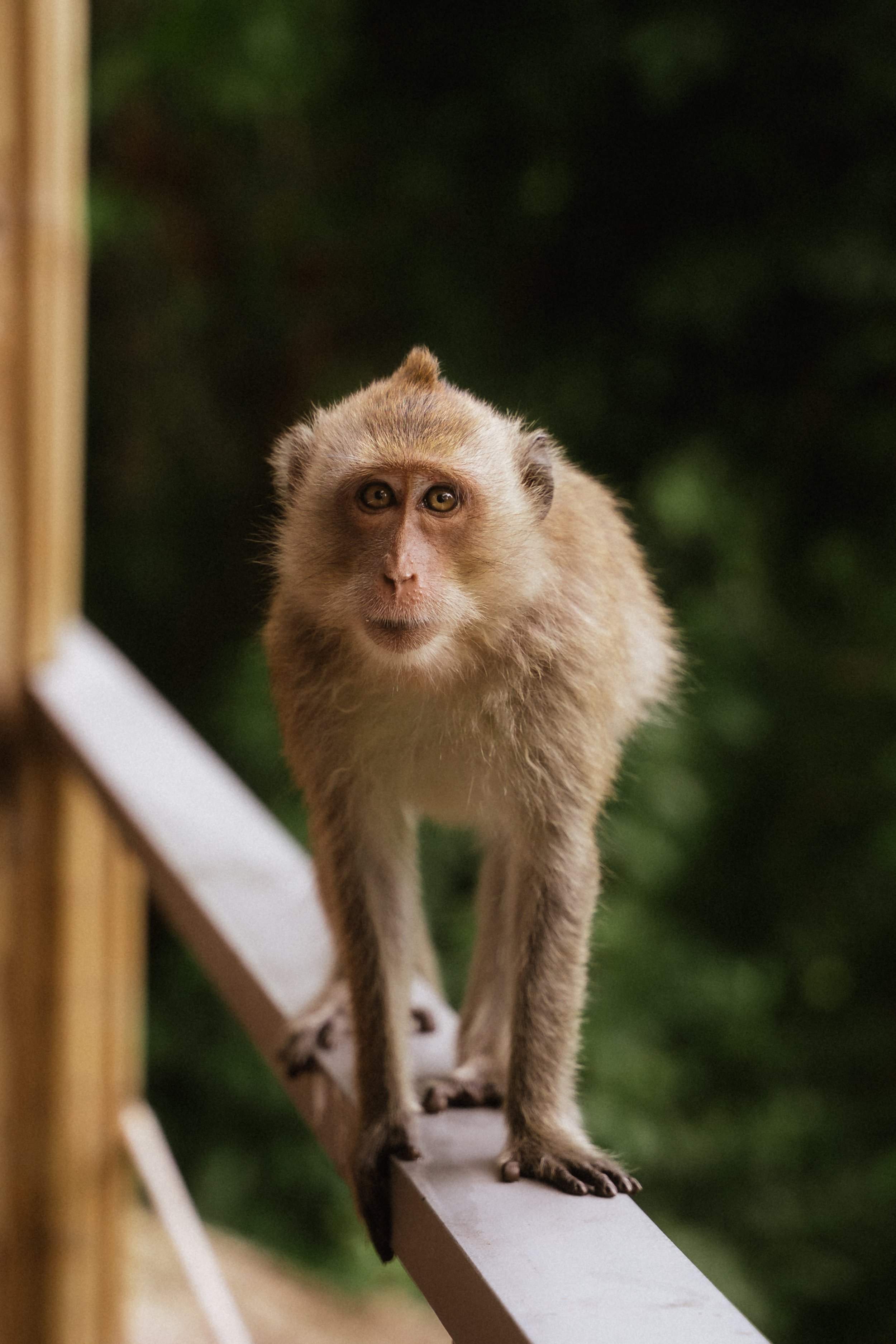 7-day Nature Therapy Island Adventure