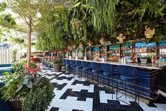 Sushi Samba Covent Garden London for TooManyAgencies