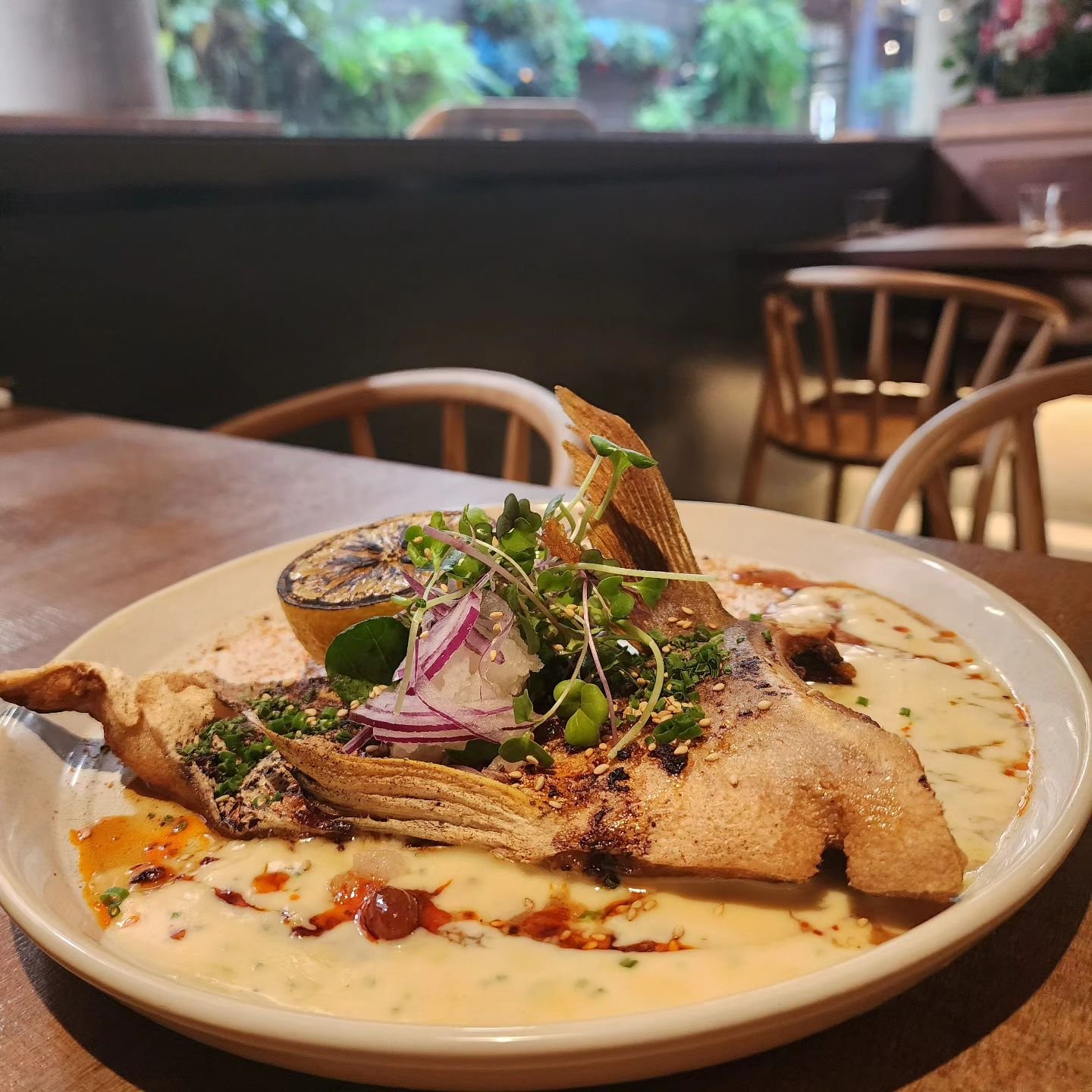 One of our New Menu!! Grilled fish 🍽
We have awesome feedback by our customers who tried this! They almost licked the plate!! 

Come and Try!! We open 7 days lunch &amp; dinner!!