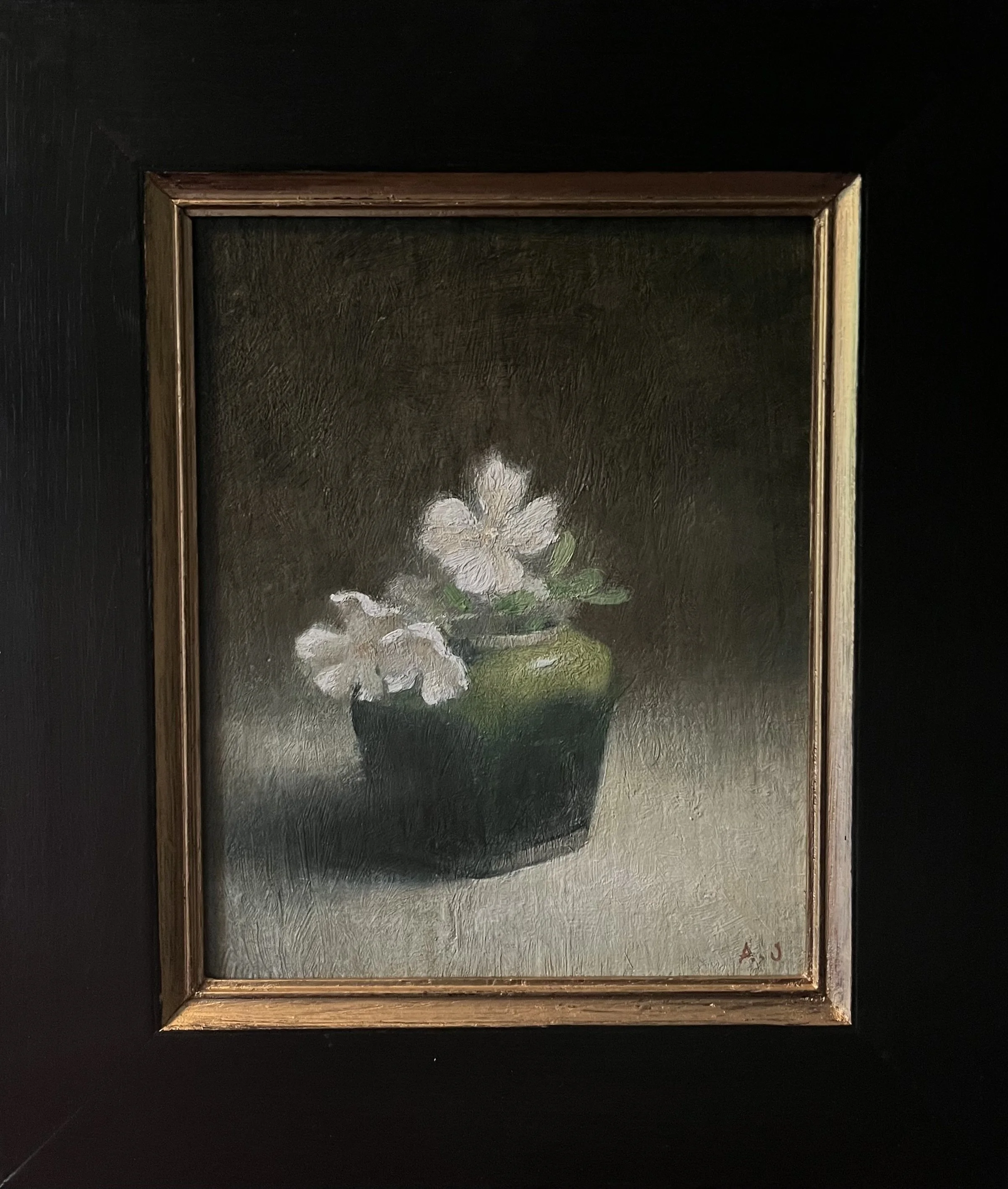 "Ginger Jar with Wood Anemone" 37x32cm, Oil on Panel. 🔴