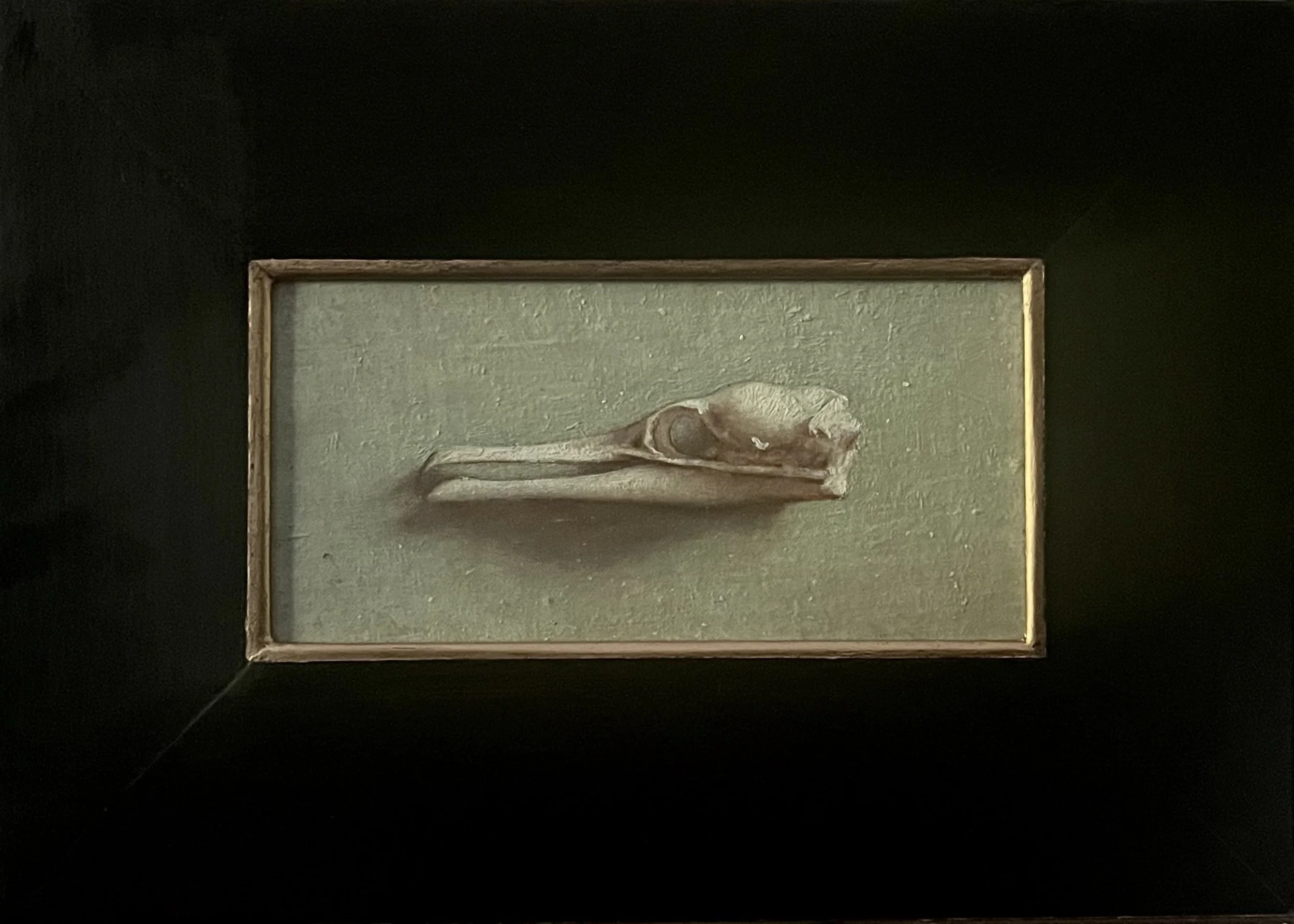 "Cormorant Skull" 30x20cm, Oil on Panel.