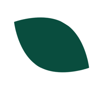 green leaf illustration on white background