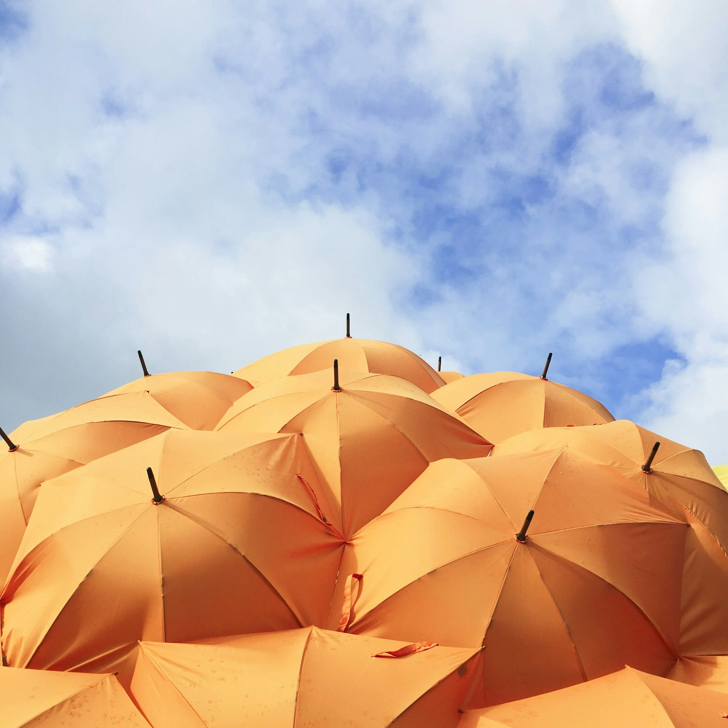 orange umbrellas demonstrating a protective shield that imabi is able to offer with regards to employers, education providers, hospitality venues, local authorities, transport operators and community platforms compliance with online safety act