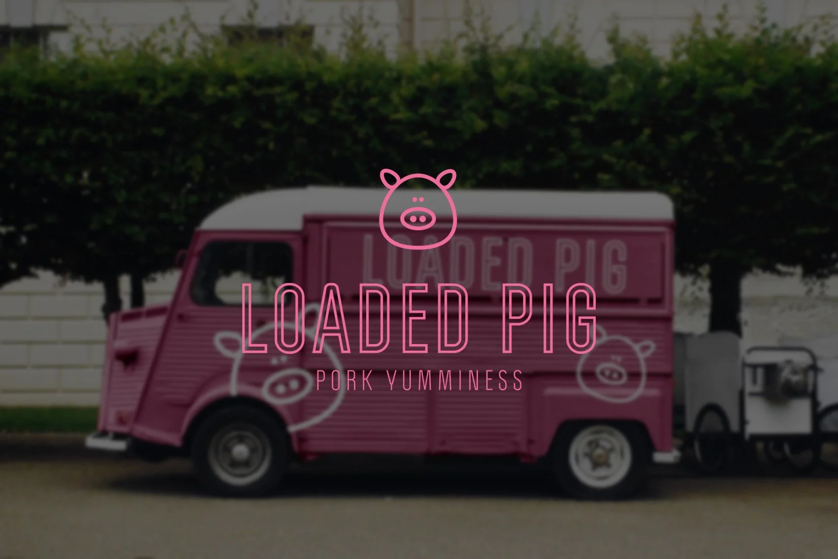 Loaded Pig