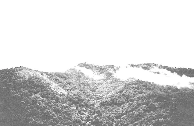 Esprit neuf, terres fertiles