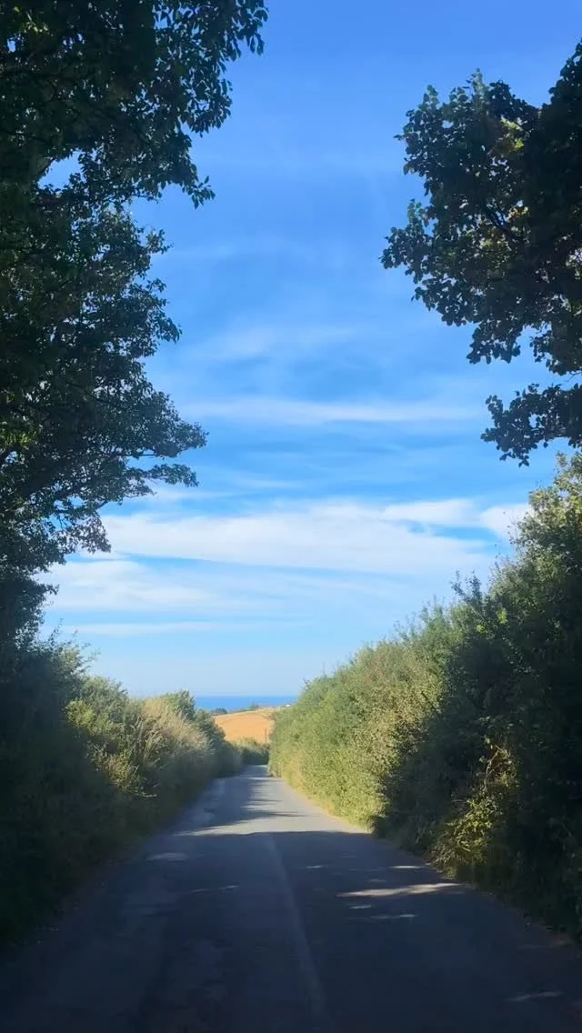 A run so scenic it cleared my head & earned a spot on the feed🌿