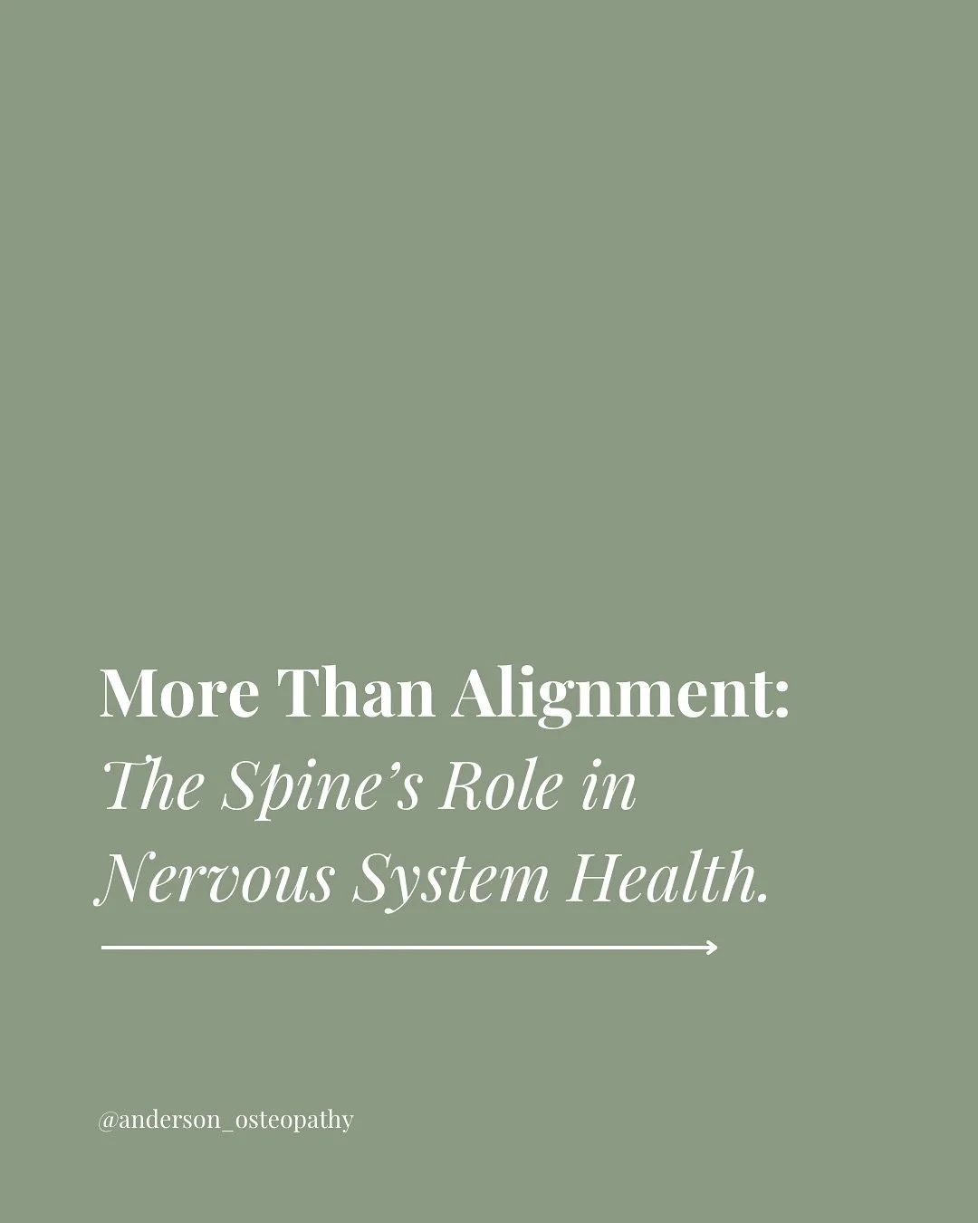 Your spine does so much more than keep you upright, it keeps you connected🧬

Movement feeds your brain vital information, helping to regulate everything from pain to immunity🦠🧠✨