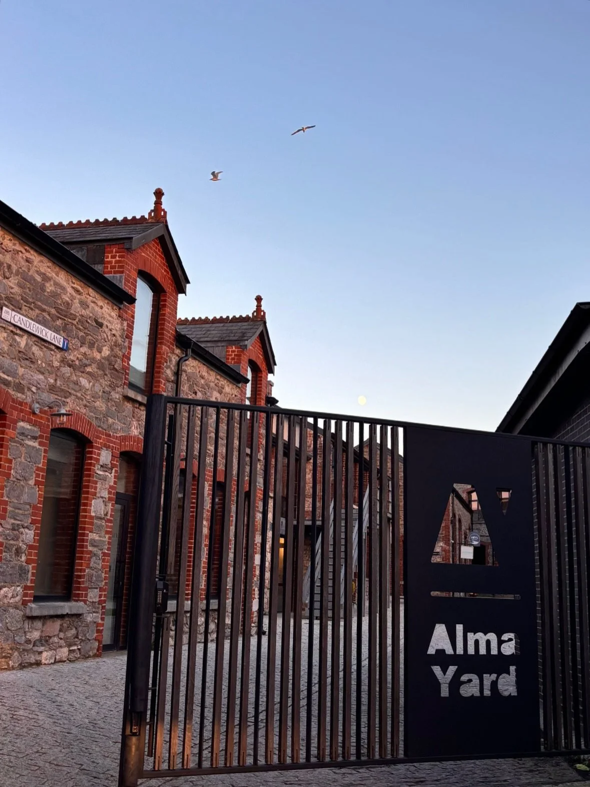 Looking back on November with a full heart🤎

A month of new beginnings, small pockets of joy, &amp; some big milestones✨