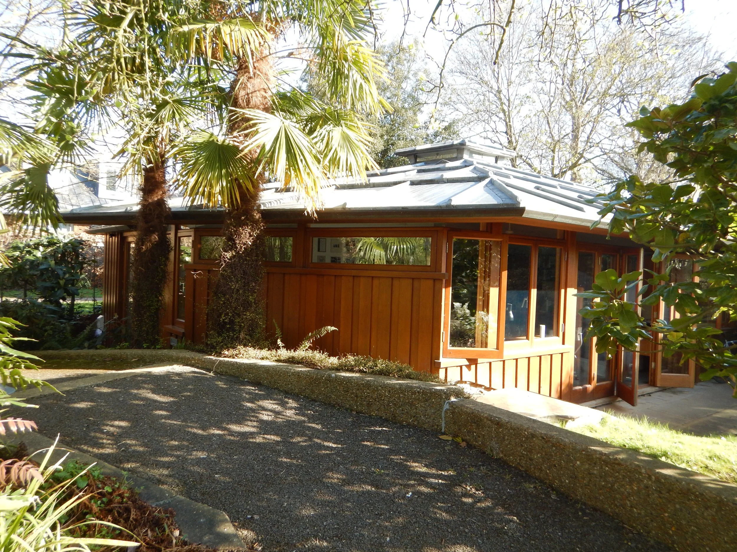 A wooden house with large glass windows, surrounded by palm trees and greenery, with a gravel pathway leading to it and a bright, sunny sky overhead.