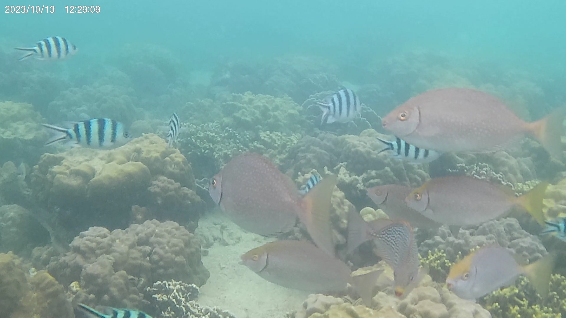 VideoCapture_20231207-143840.jpg