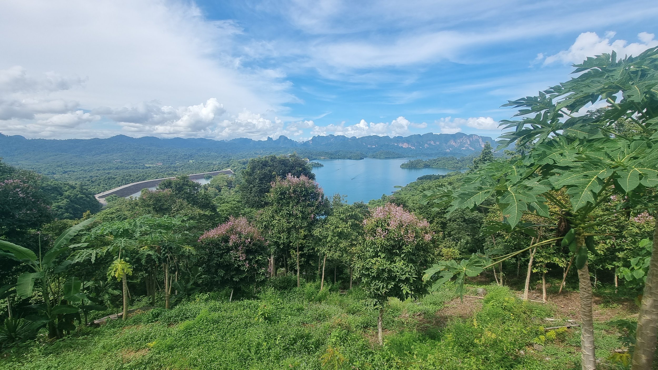 Our Adventure in Khao Sok National Park