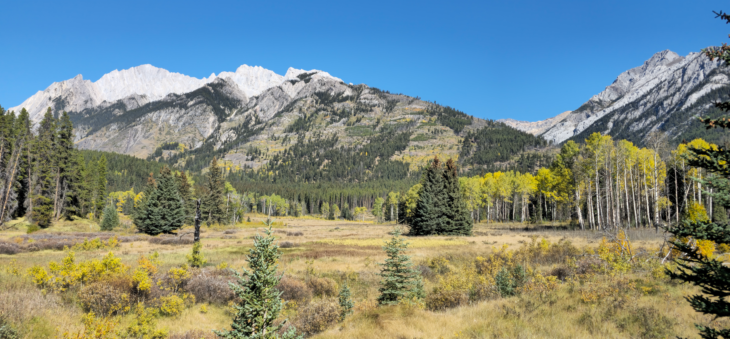 Banff and Jasper: Our RV Road Trip
