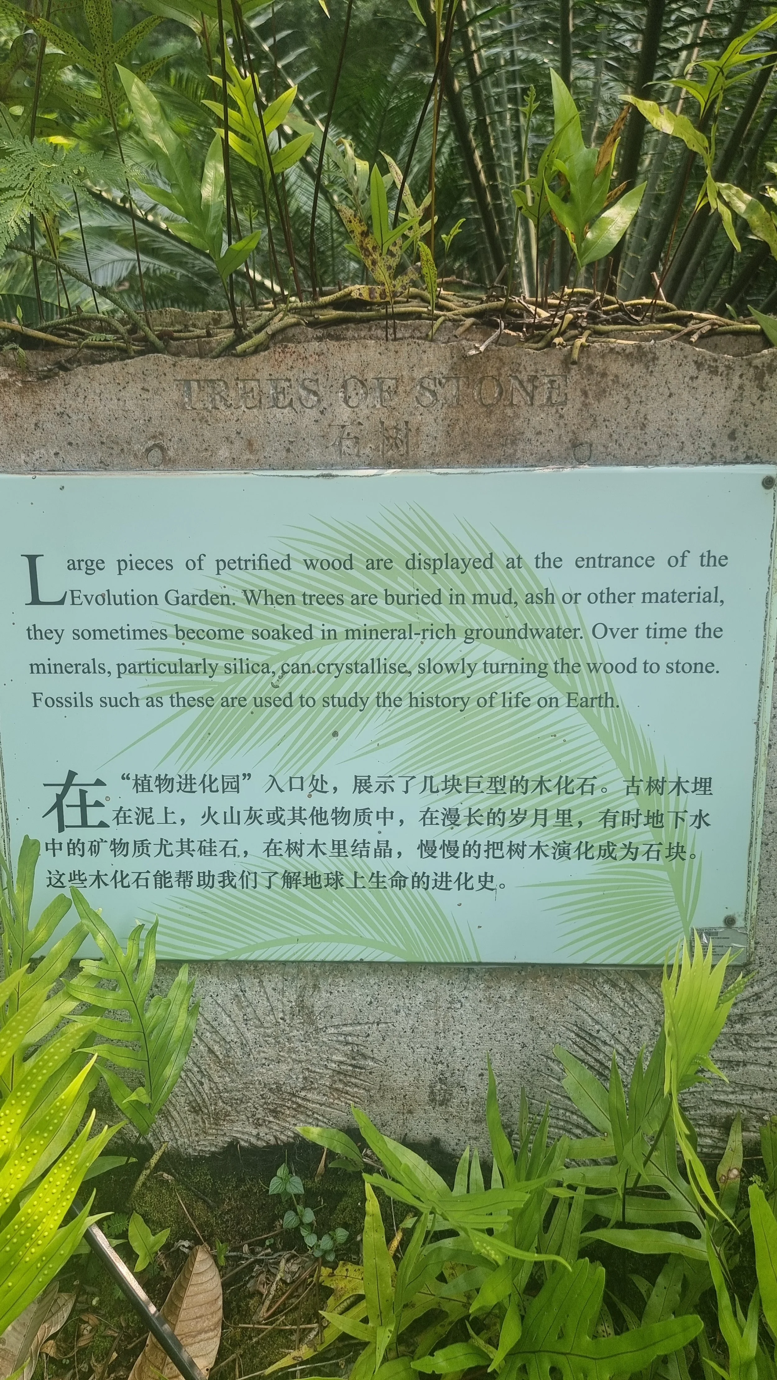 20231007_153402.jpg