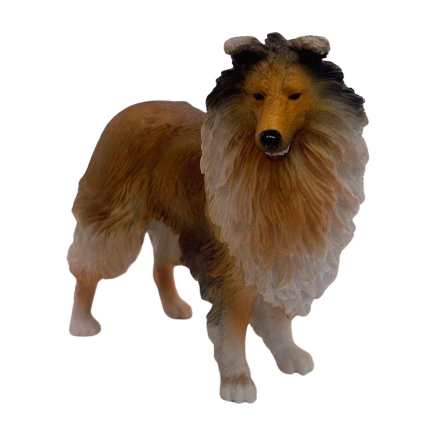 Rough Collie