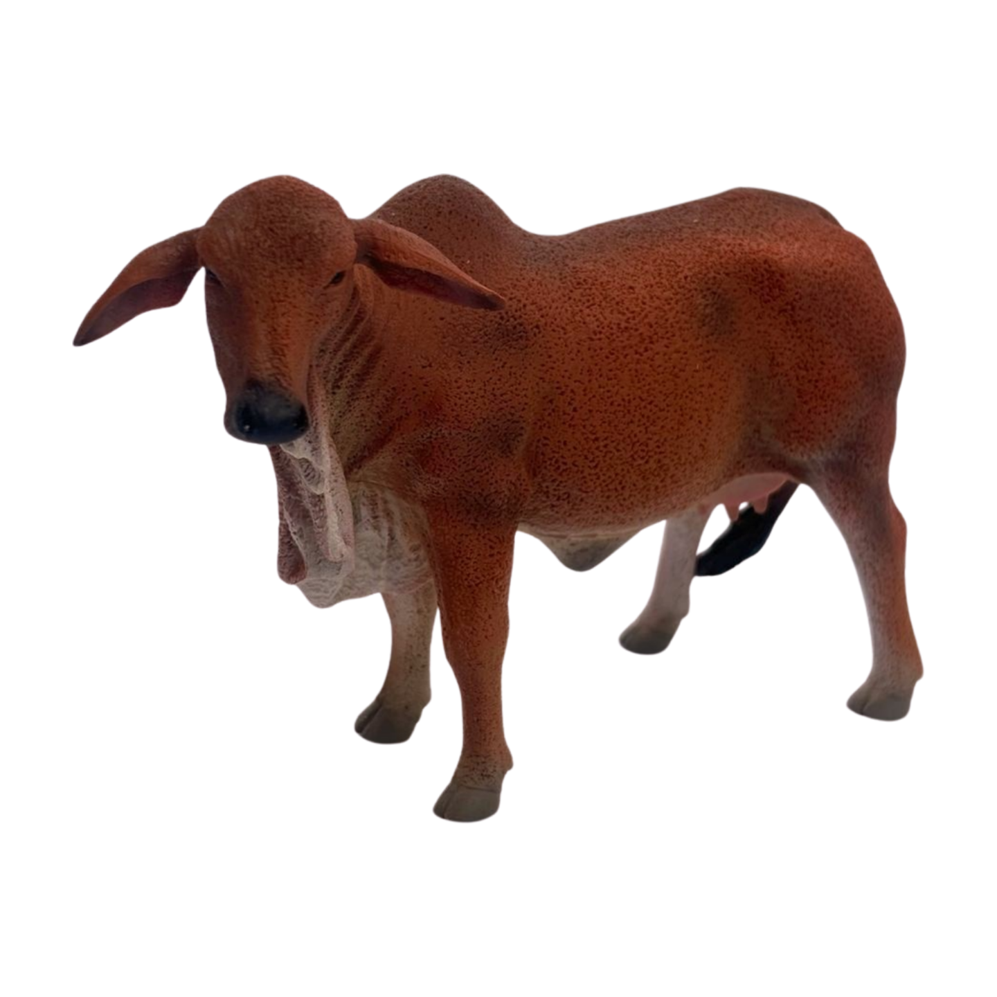 IMG_0429.png