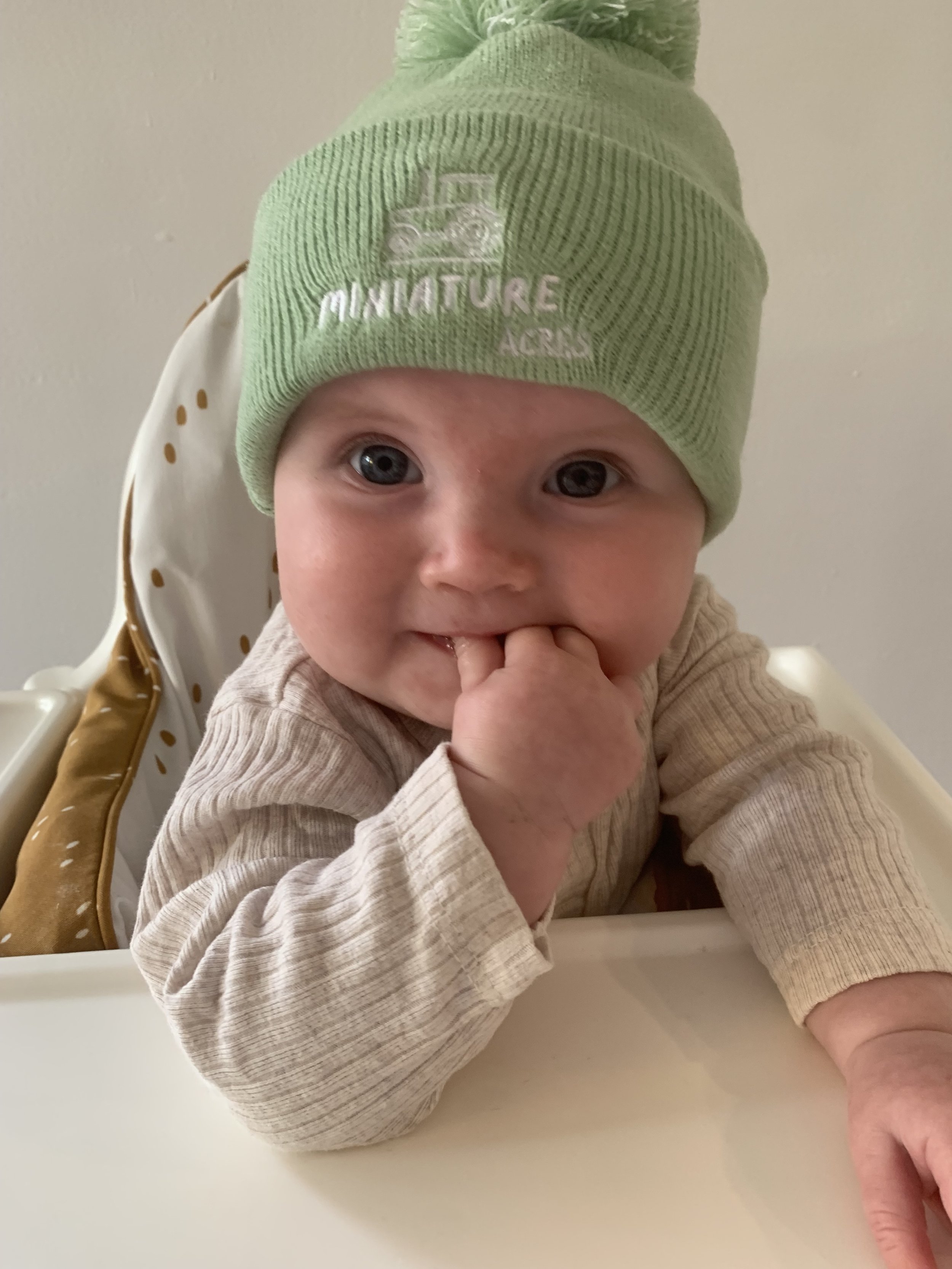 Green Beanie (baby)