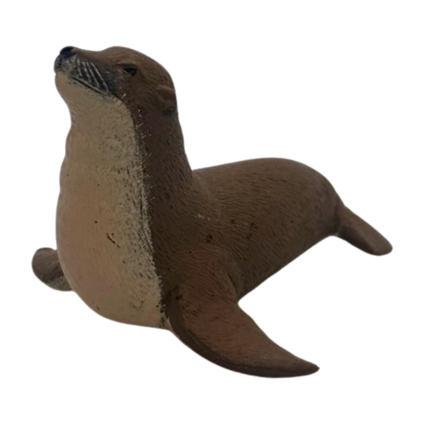 Seal