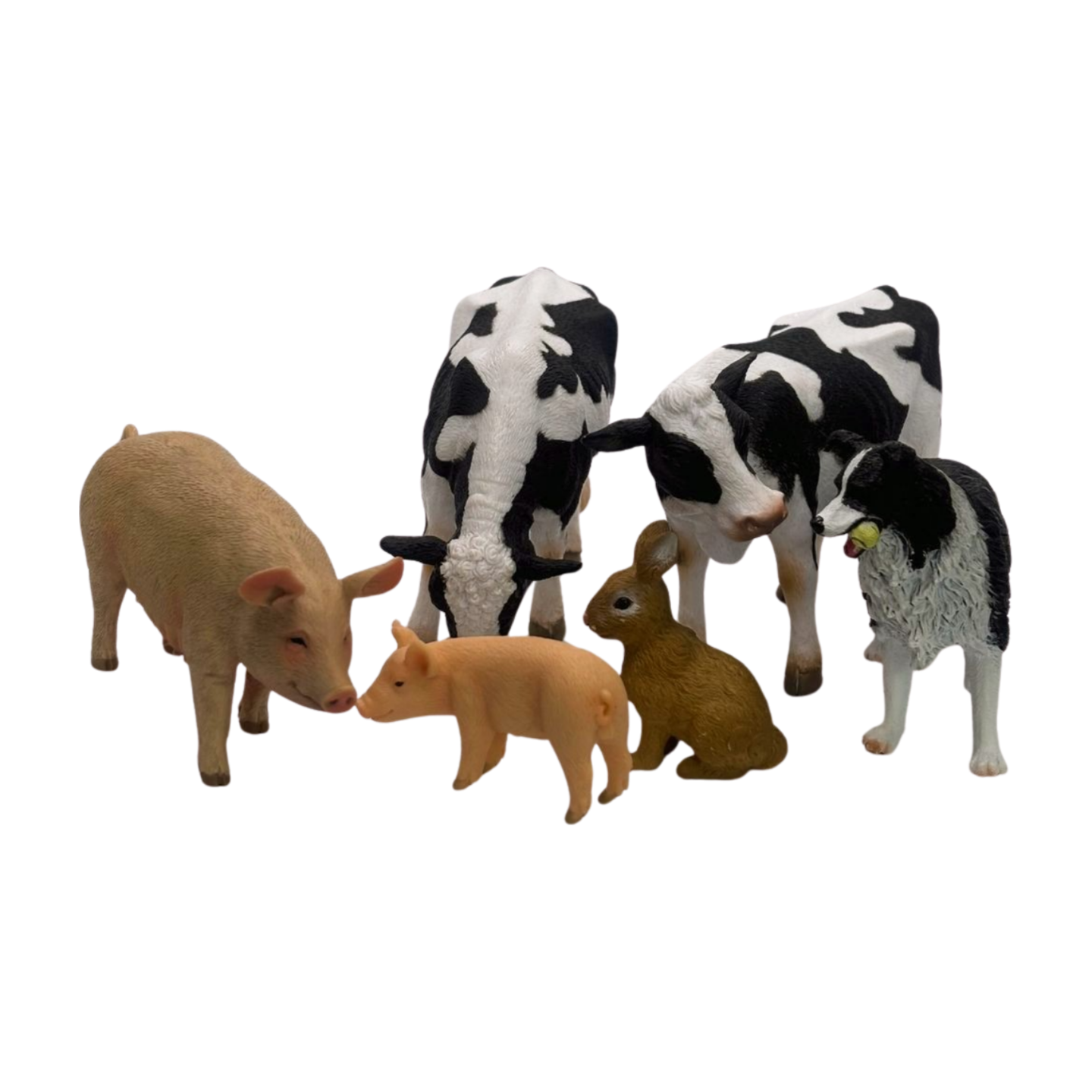 IMG_0769.png
