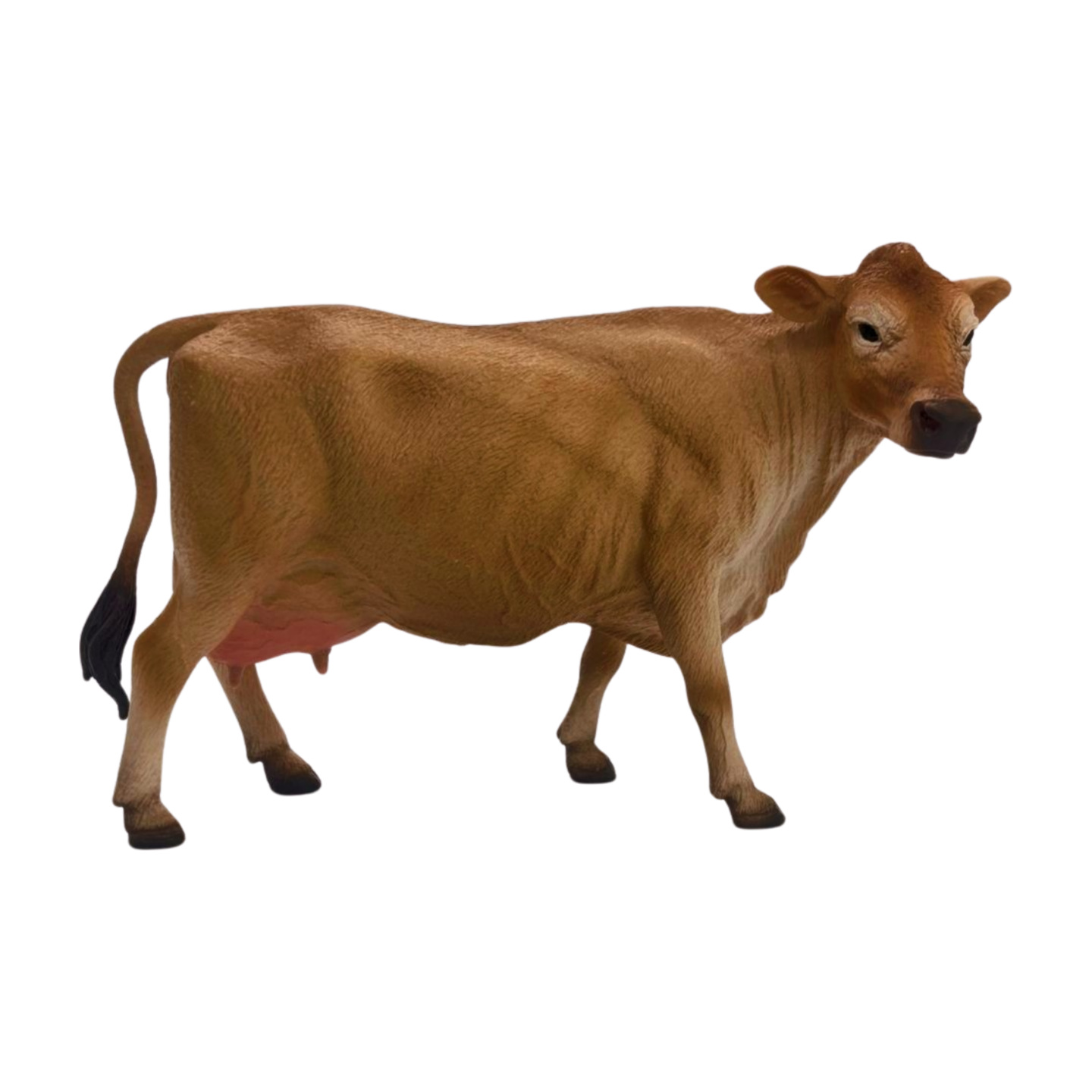 Jersey Cow