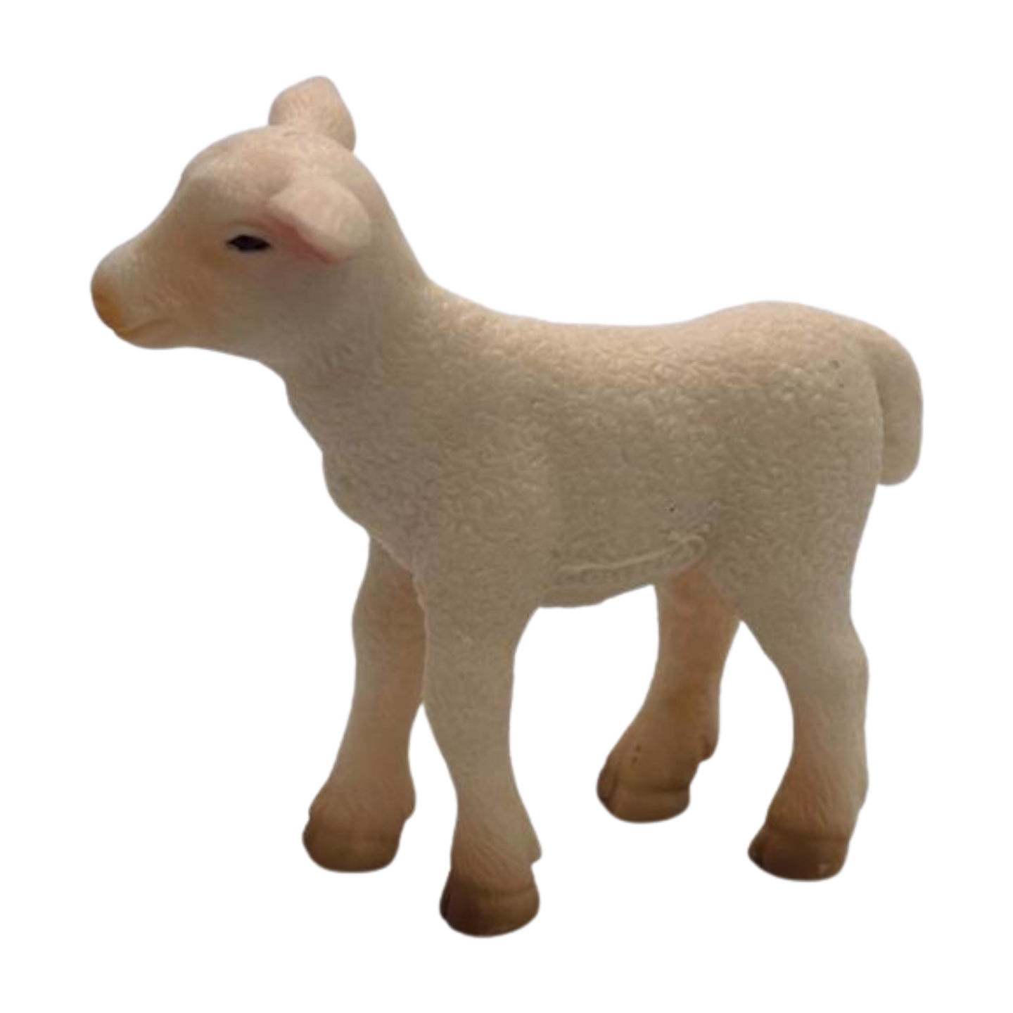 Merino Lamb
