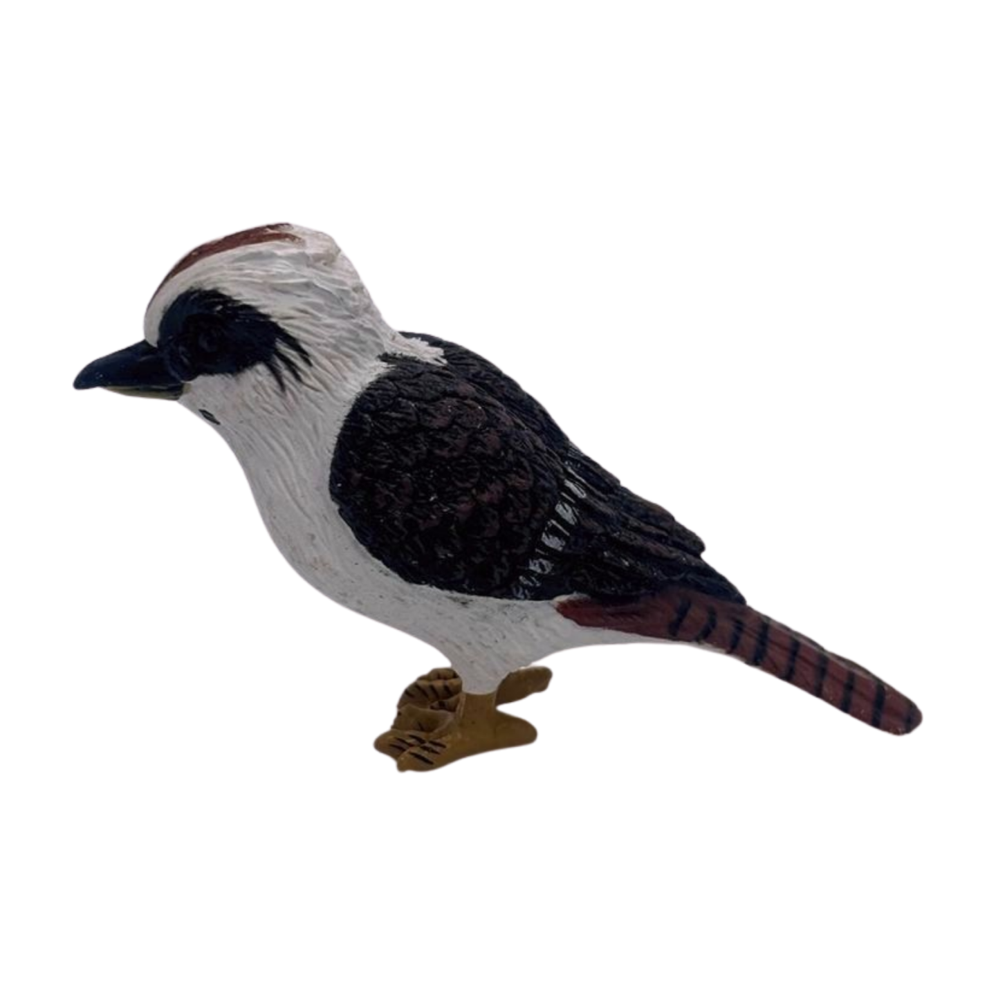 IMG_0502.png