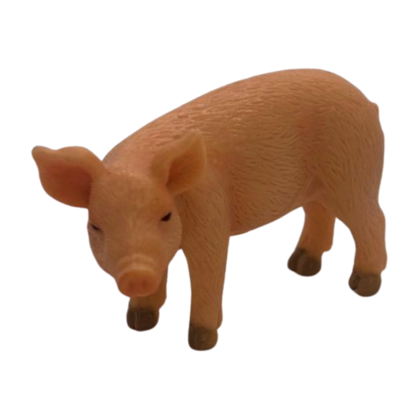 Piglet