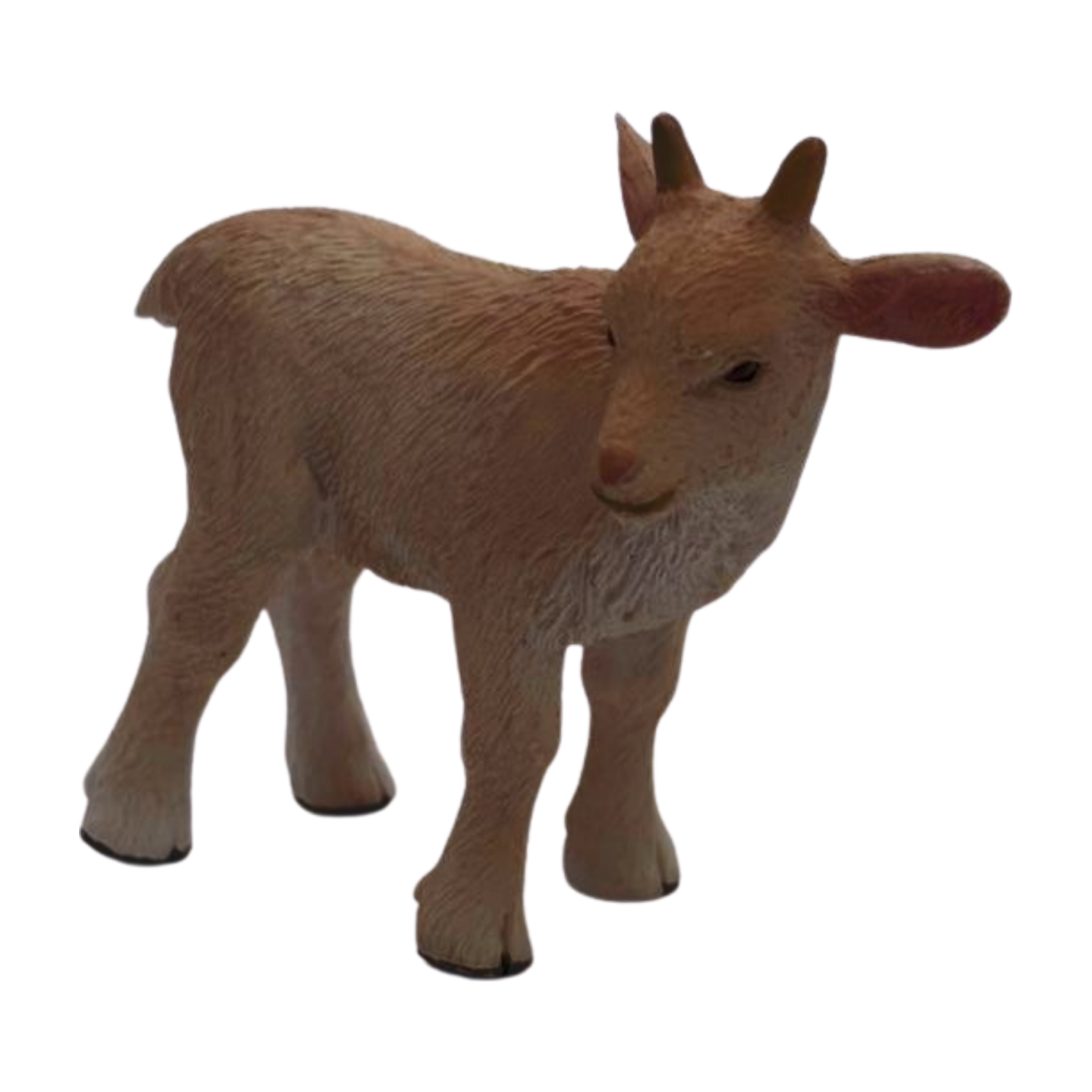 Kid Goat