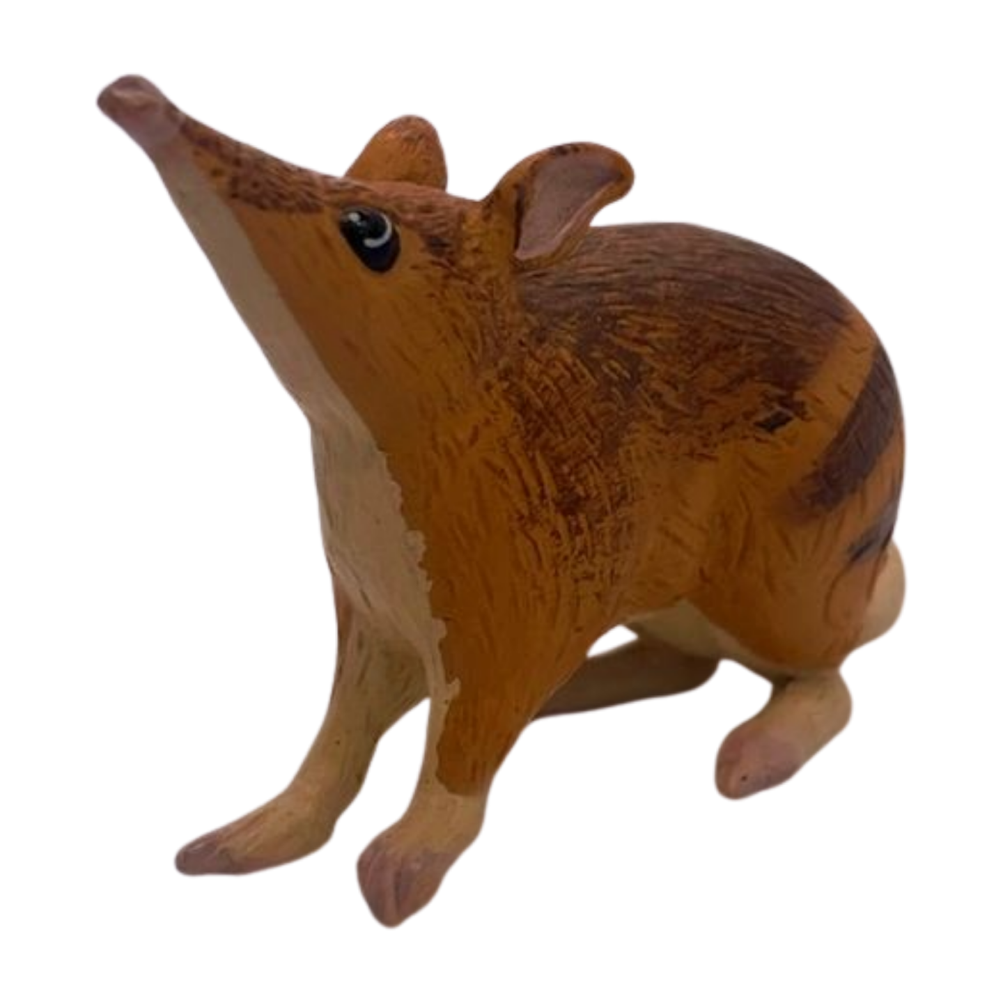 Bandicoot