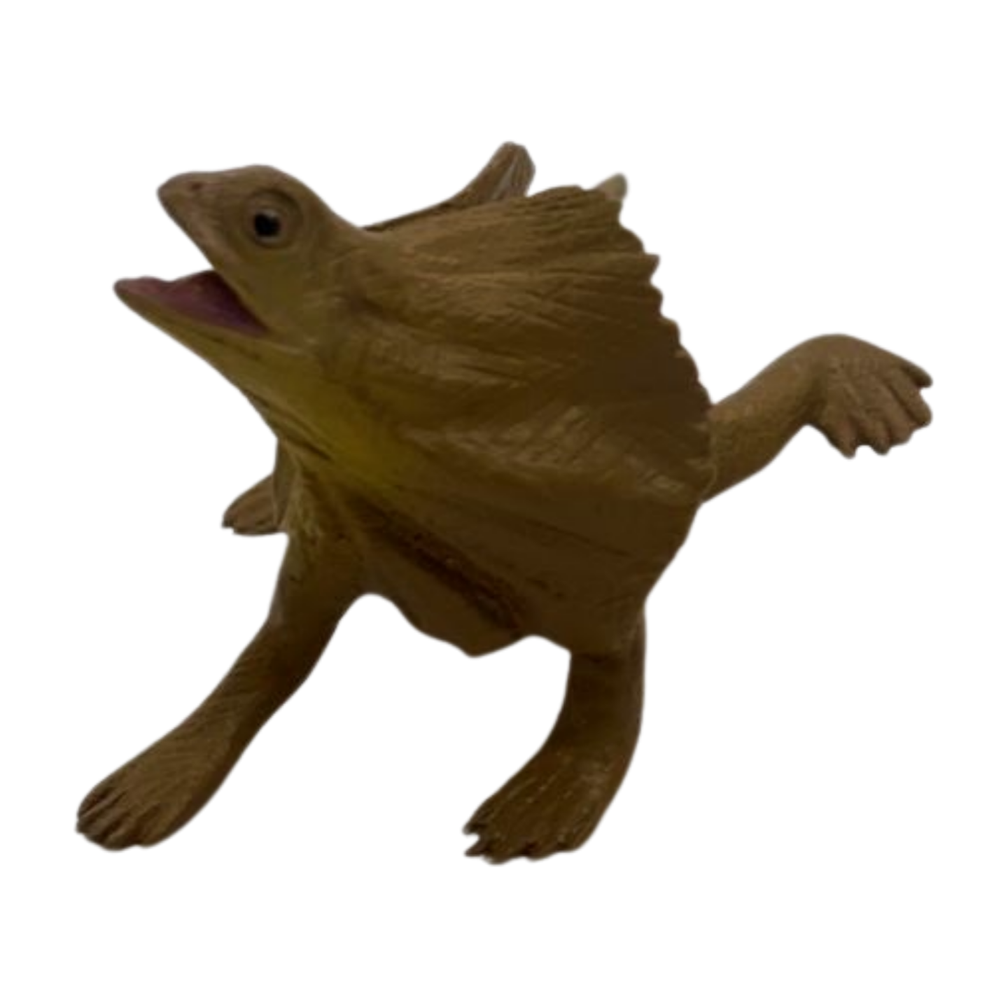 Frilled Neck Lizard