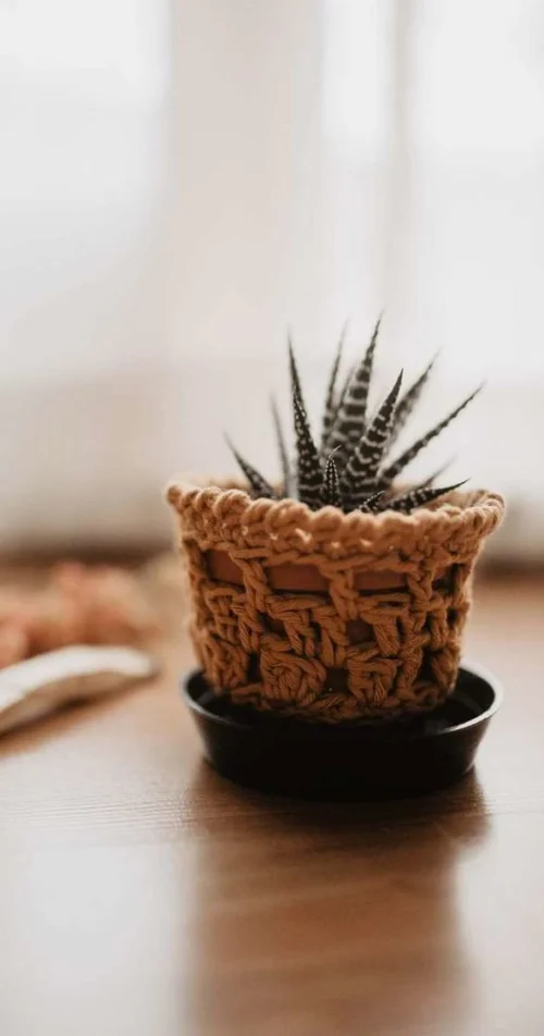 bloodimaryart-blog-free-plant-pot-cover-538x1024.jpeg