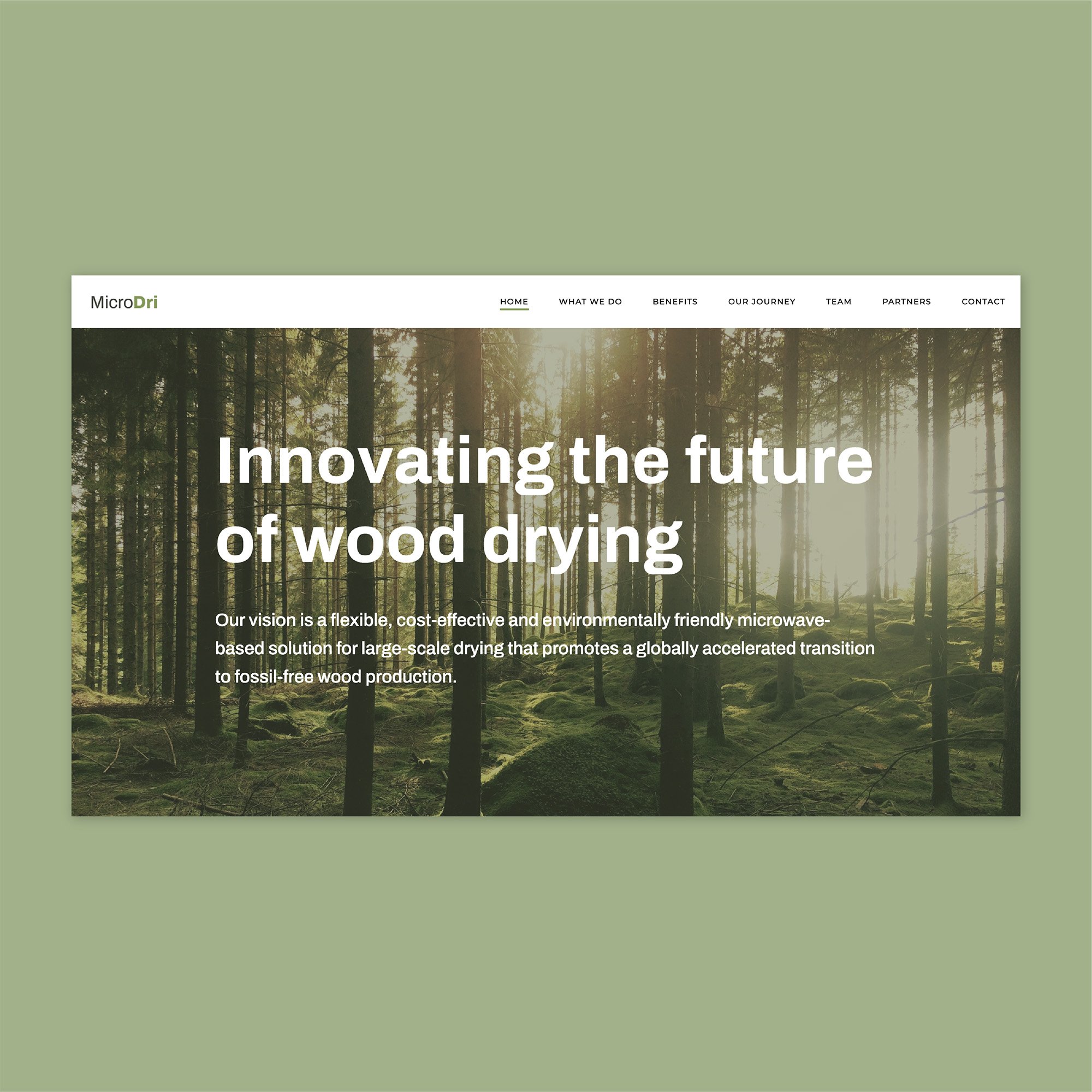 josefin-lidh-microdri-webdesign-1.jpg