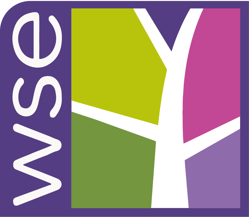 English Study Camps by Wimbledon School of English