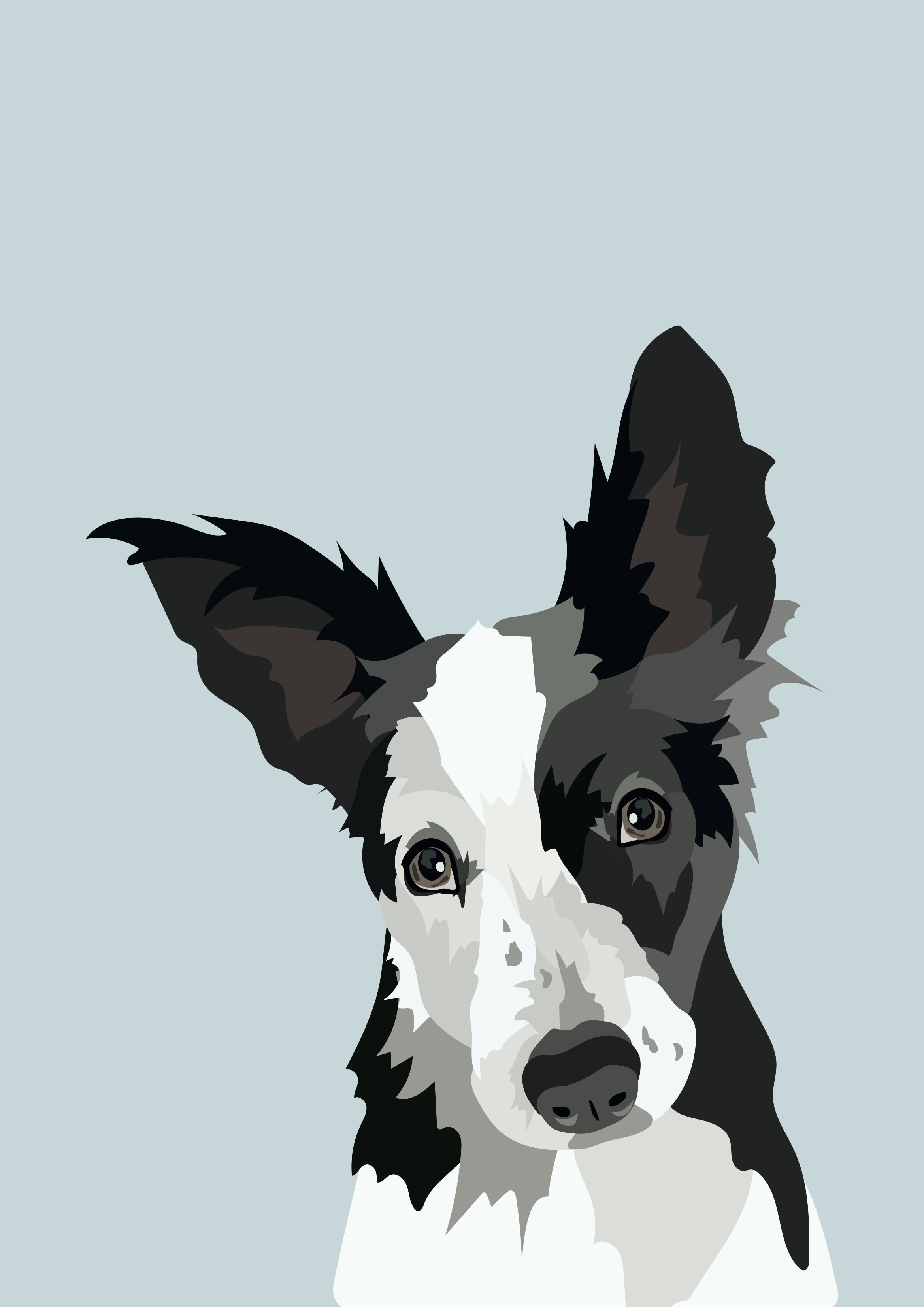 sophie a3.png