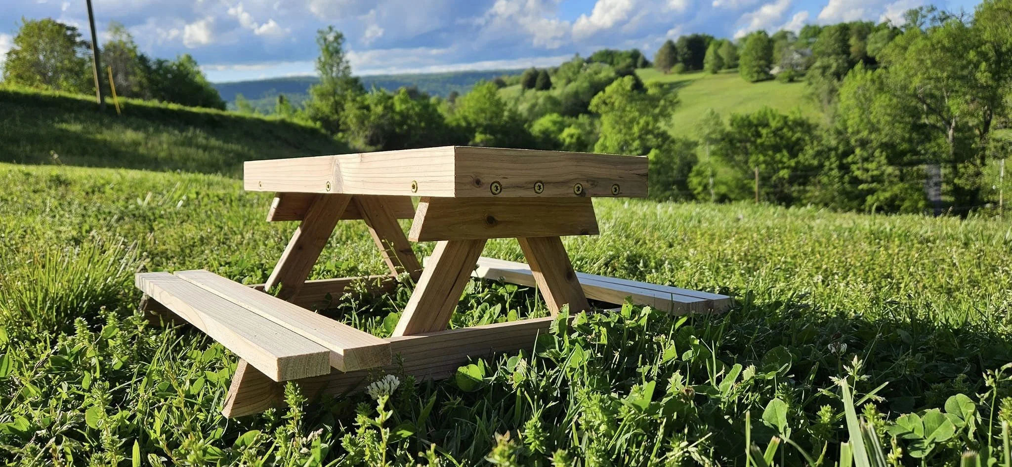 Chicknic Table Plans Meadow Green Farm Chicknic Table Plans Meadow Green Farm