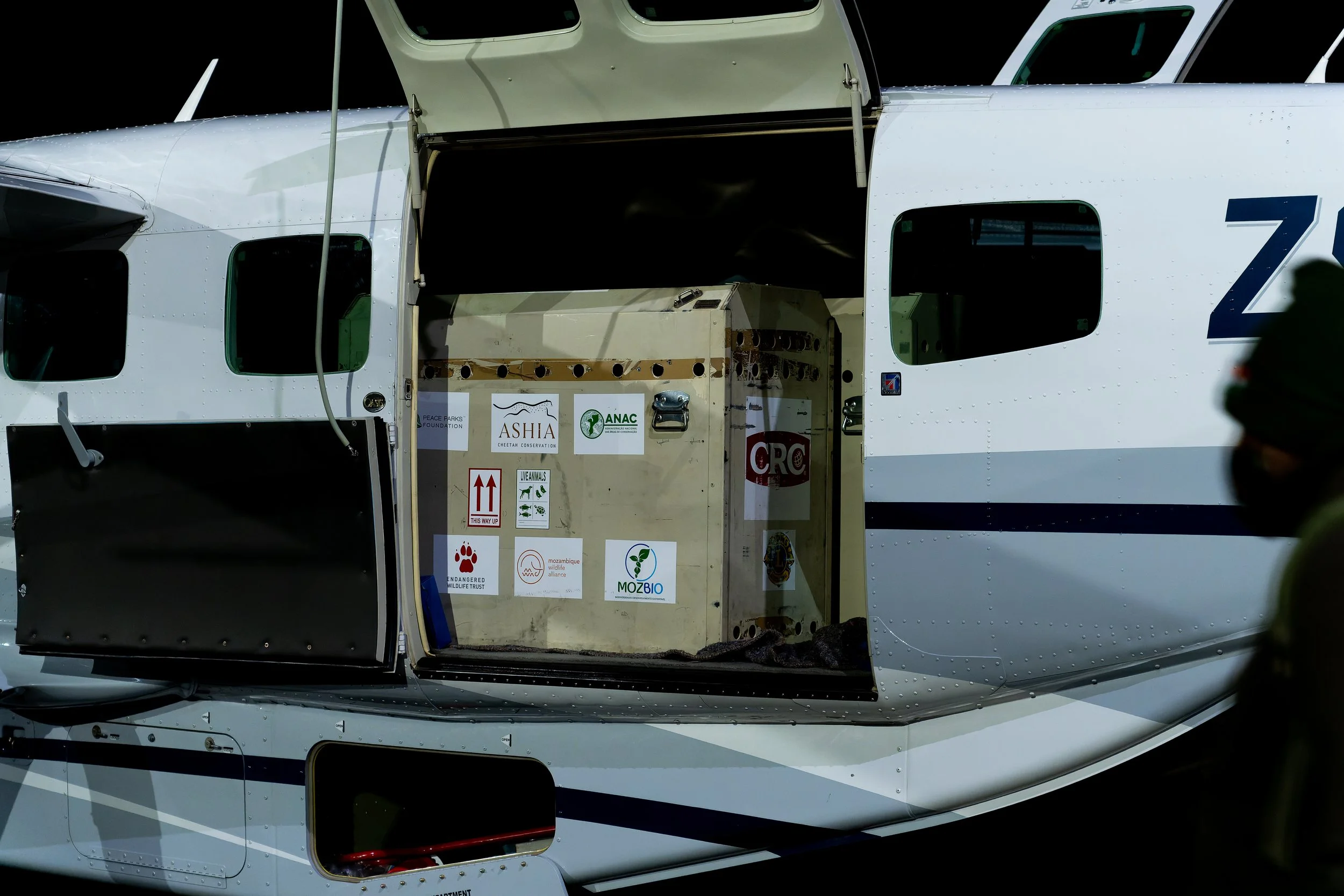 DSC04875-ARW_DxO_DeepPRIME.jpg