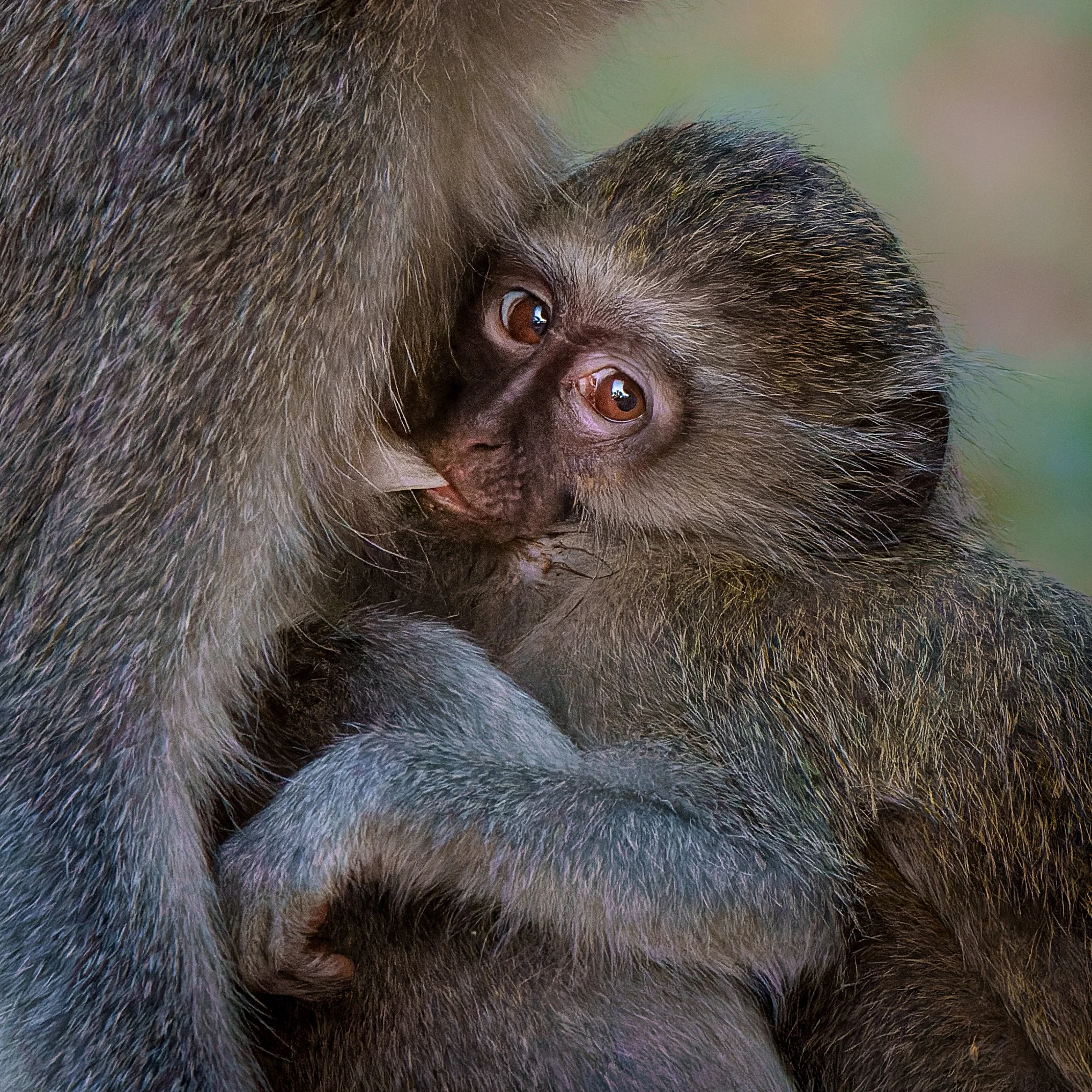 DSC05889-ARW_DxO_DeepPRIME.jpg