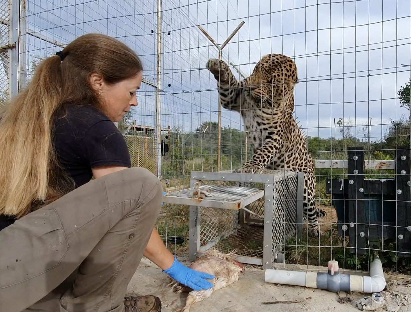 Scherm­afbeelding 2025-02-27 om 15.21.23.png