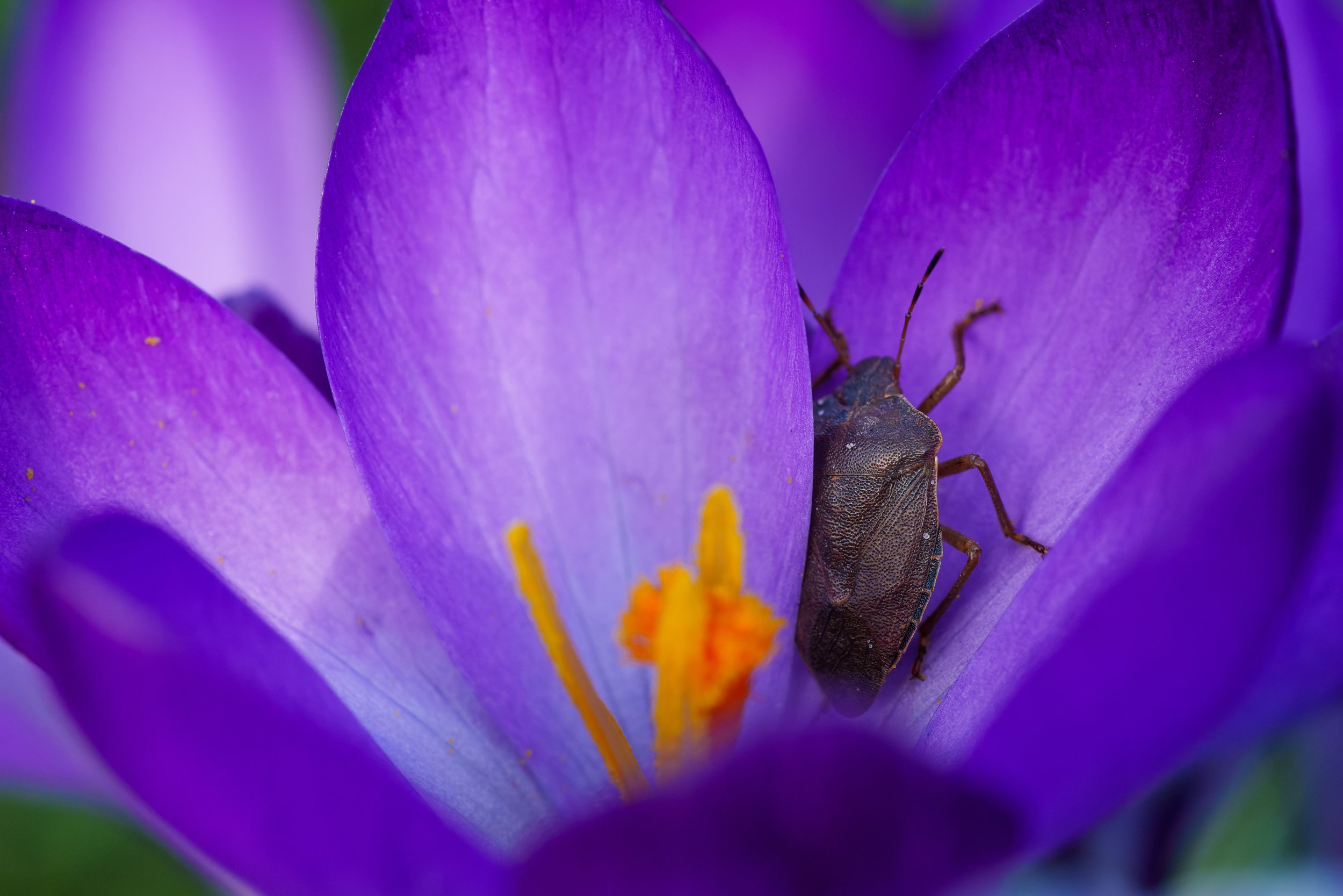 DSC09655-ARW_DxO_DeepPRIME kopie.jpg