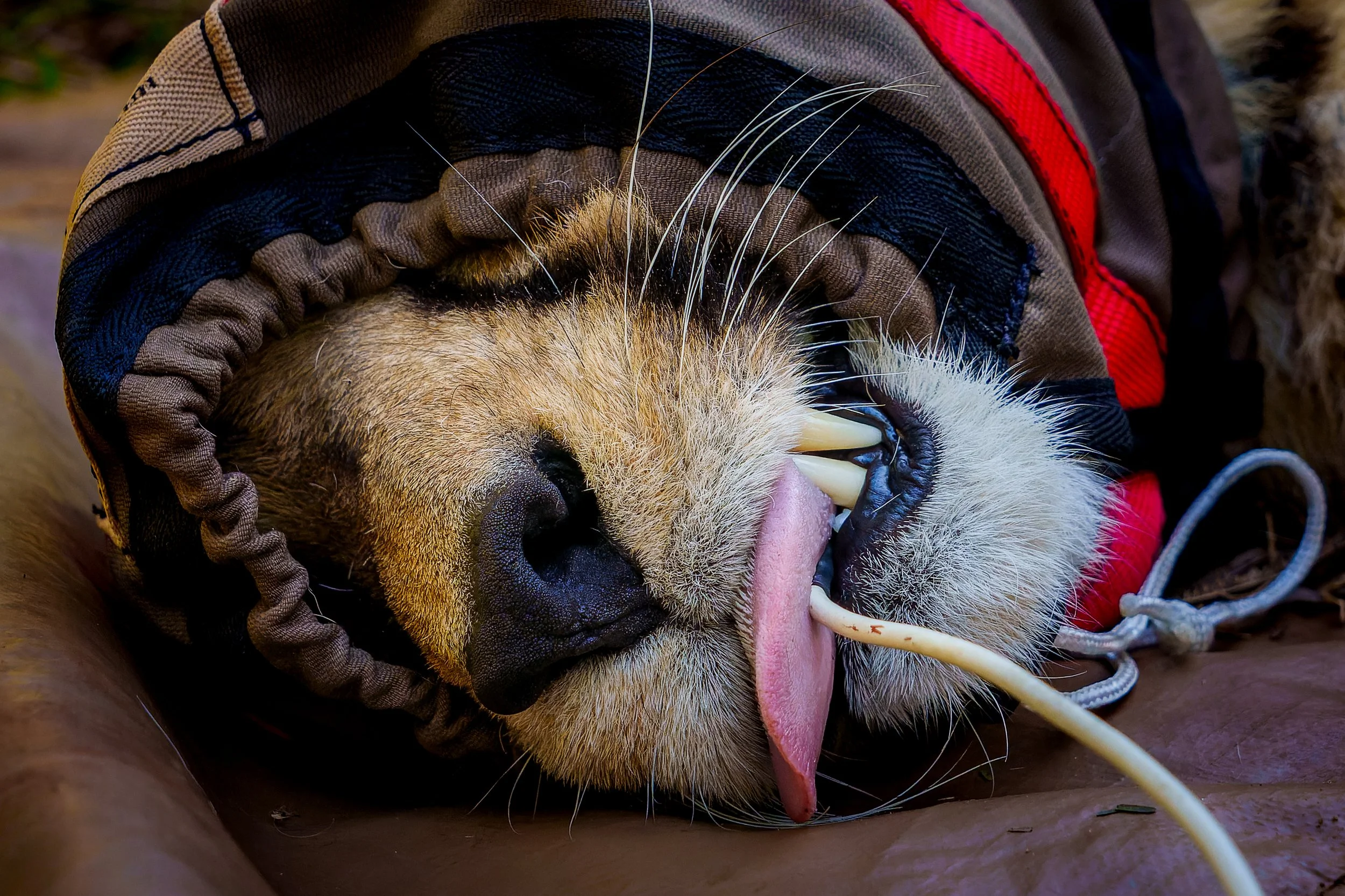 DSC05030-ARW_DxO_DeepPRIME.jpg